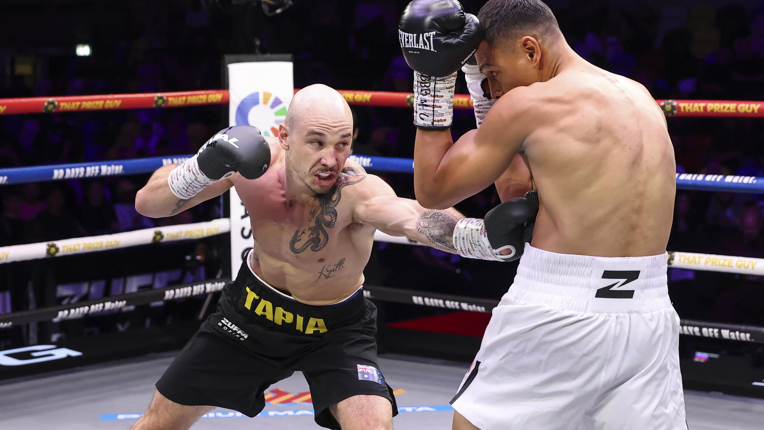 Zuffa Boxing 11: Tapia v Ruiz