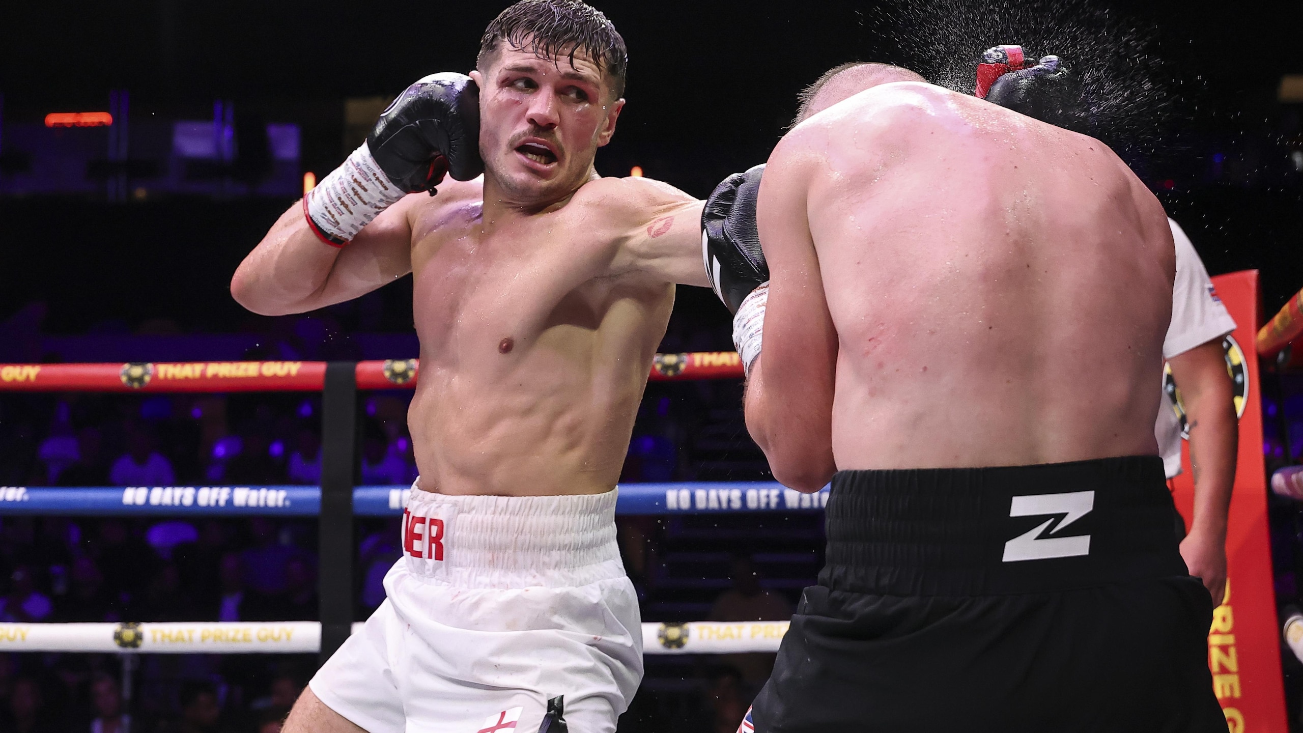 Zuffa Boxing 11: Cutler v Greene