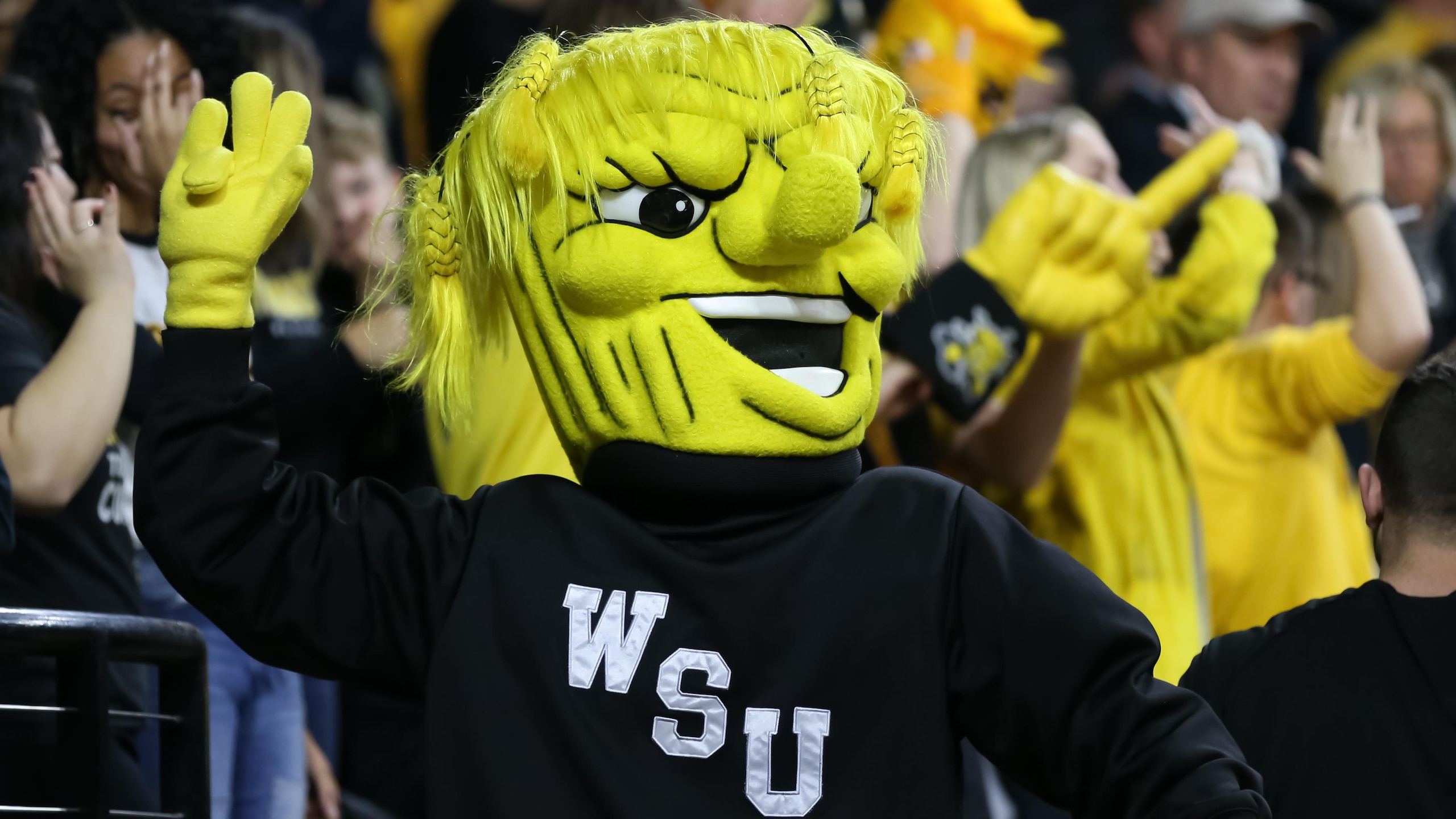 COLLEGE BASKETBALL: FEB 06 Cincinnati at Wichita State COLLEGE BASKETBALL: FEB 06 Cincinnati at Wichita State