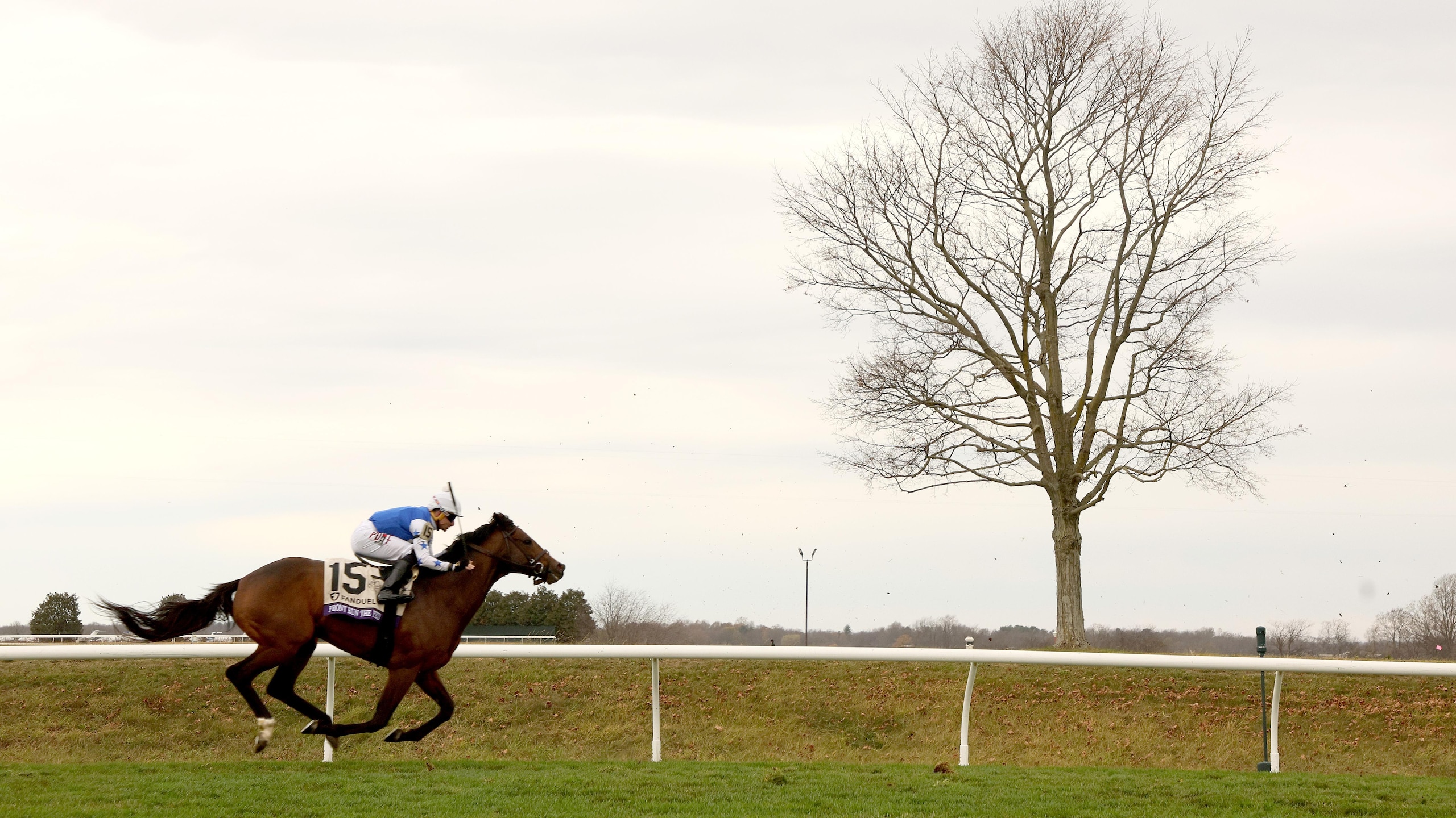 2022 Breeders' Cup