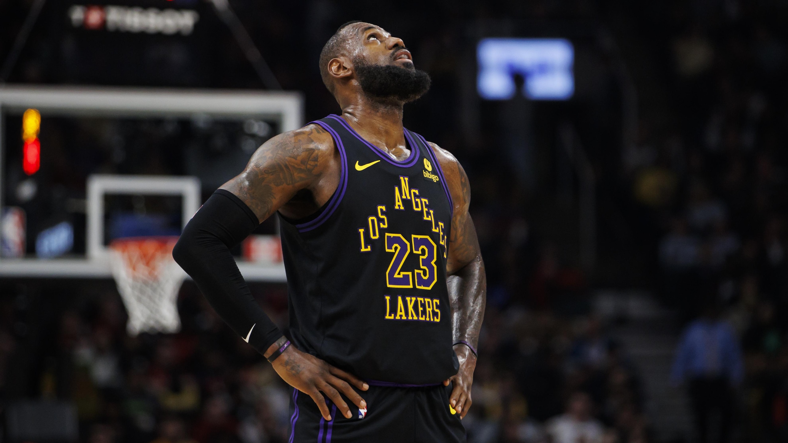 Los Angeles Lakers v Toronto Raptors