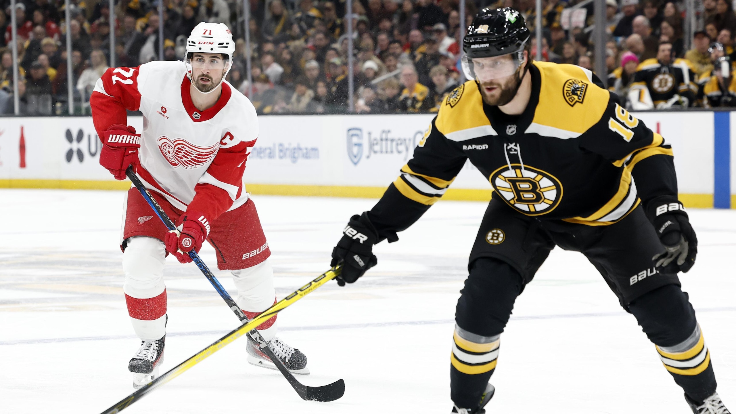 NHL: DEC 03 Red Wings at Bruins