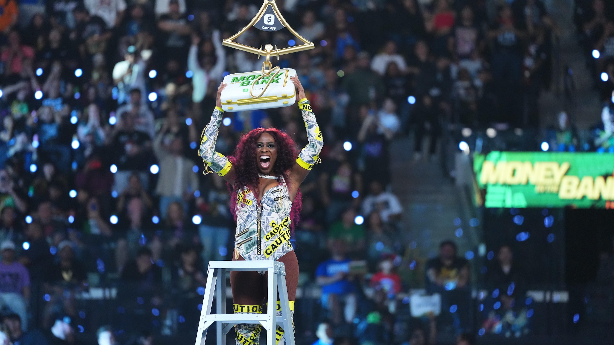 WWE Money In The Bank