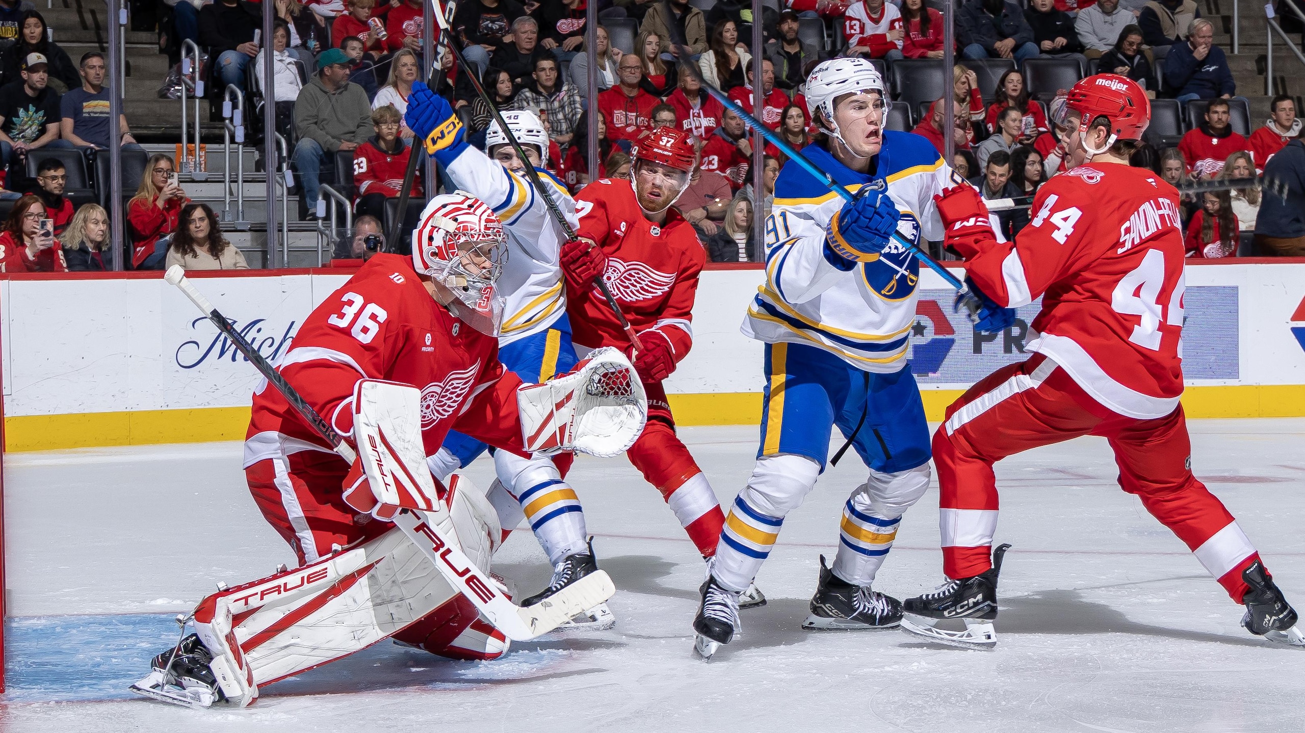 Buffalo Sabres v Detroit Red Wings