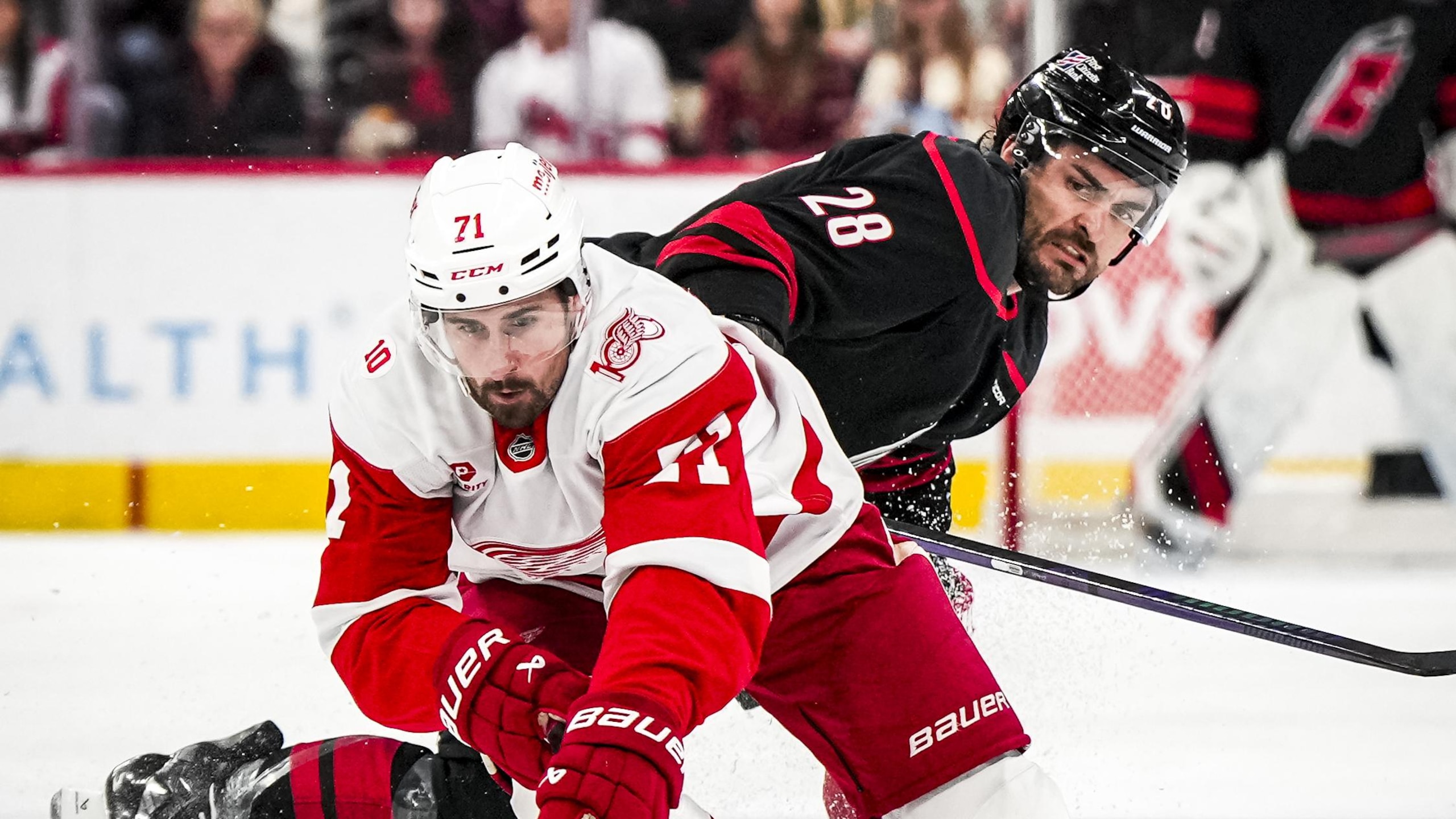 Detroit Red Wings v Carolina Hurricanes