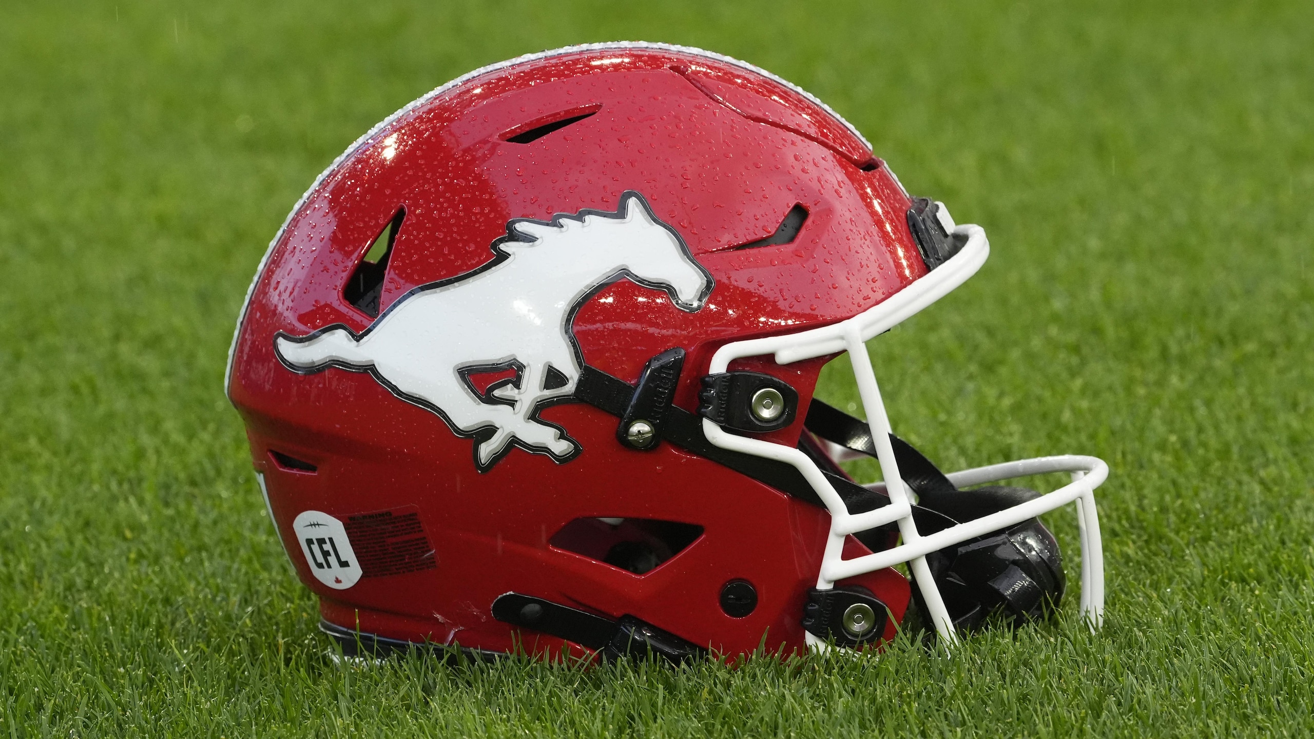 Calgary Stampeders v Toronto Argonauts Calgary Stampeders v Toronto Argonauts