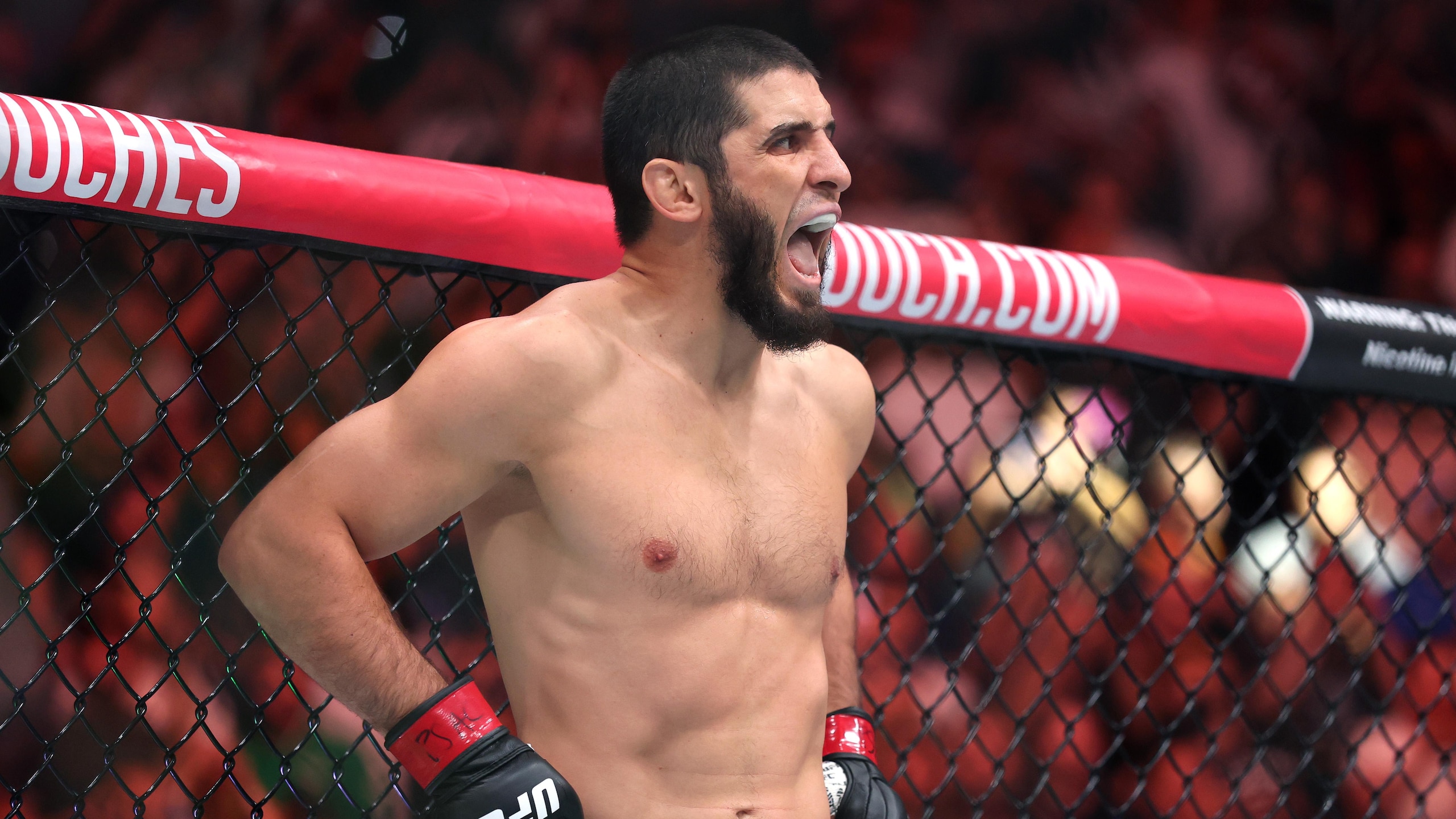 UFC 330: Makhachev v Machado Garry