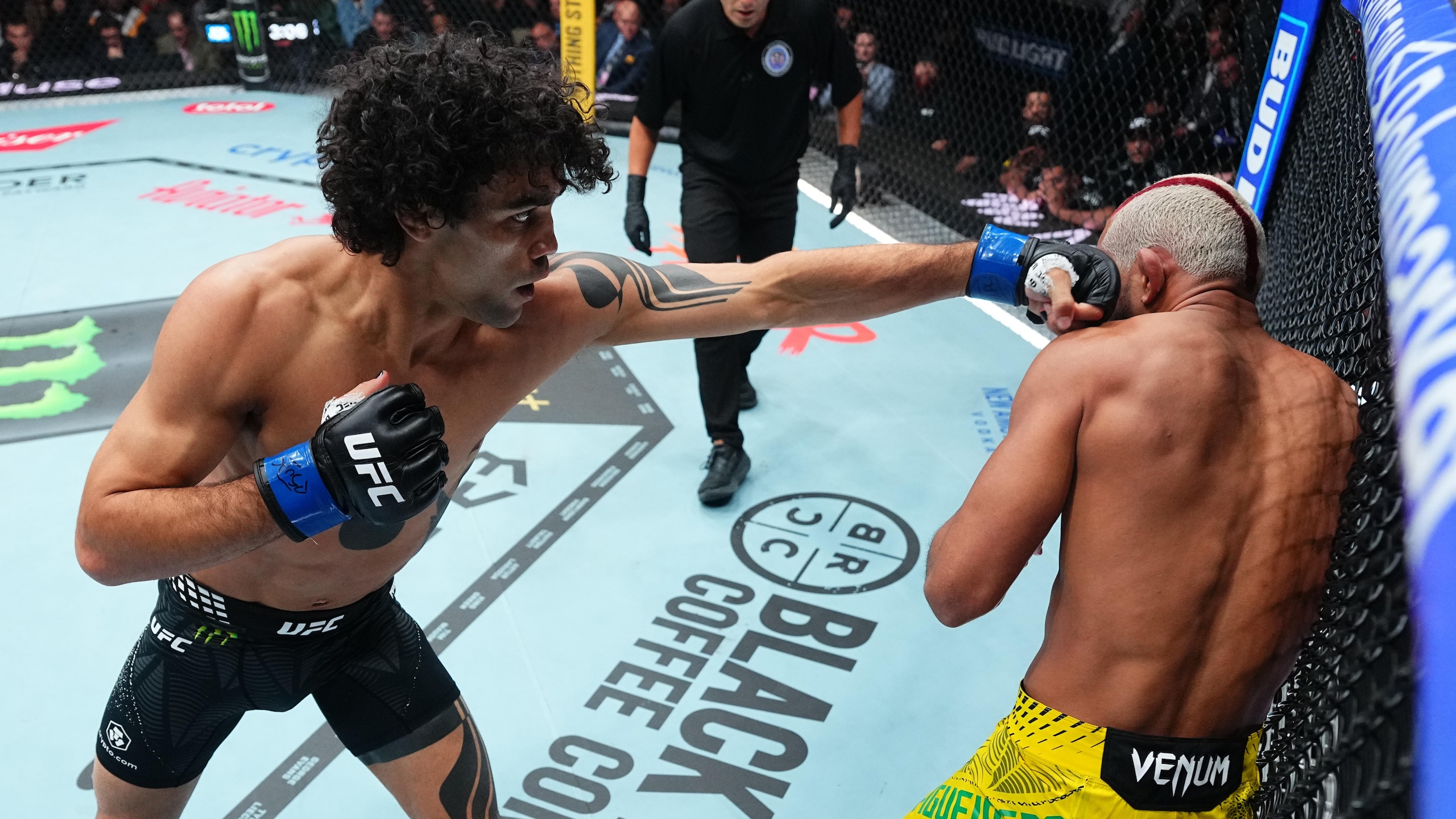 UFC 332: Figueiredo v Talbott