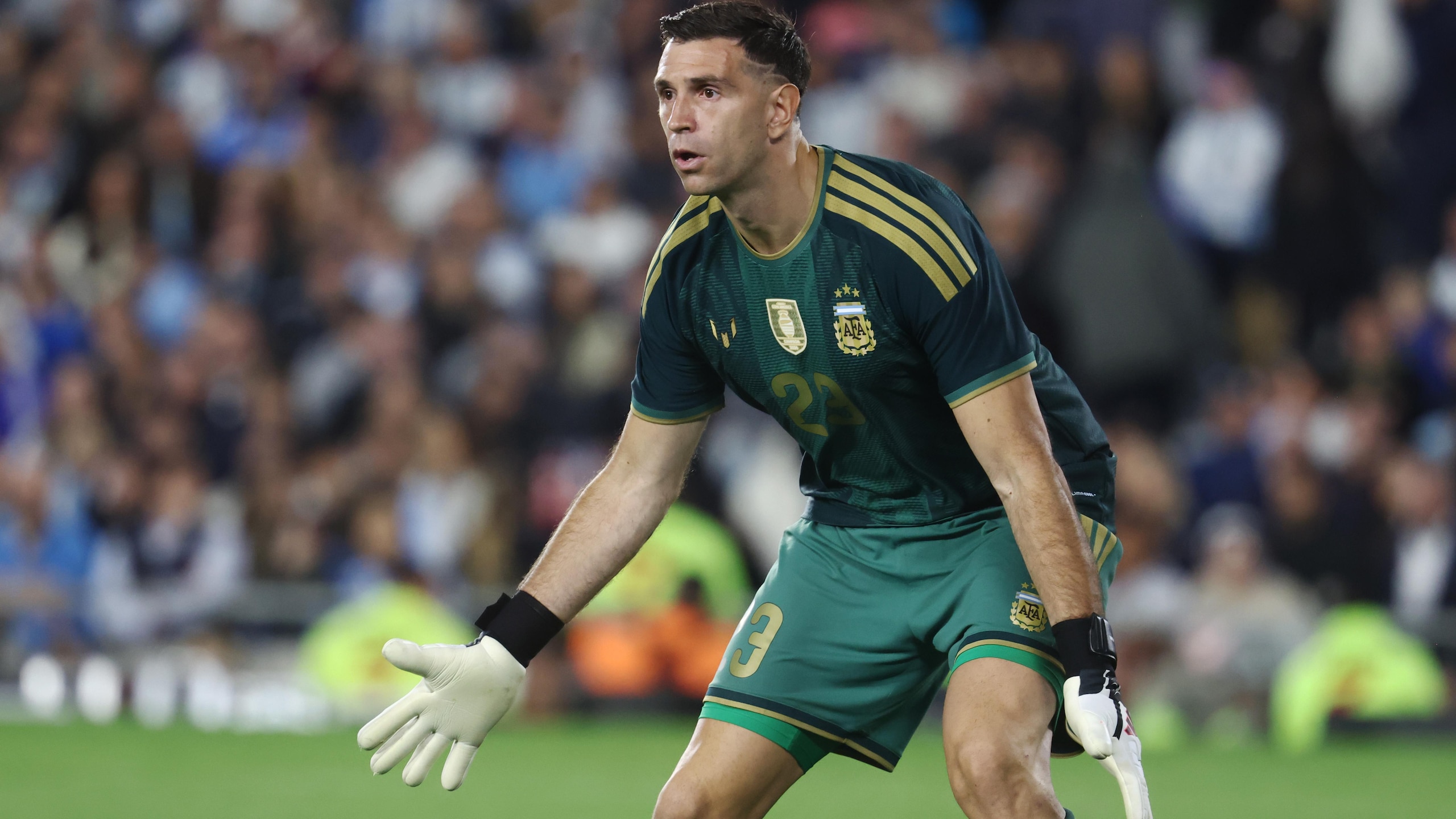 Argentina v Benin - International Friendly