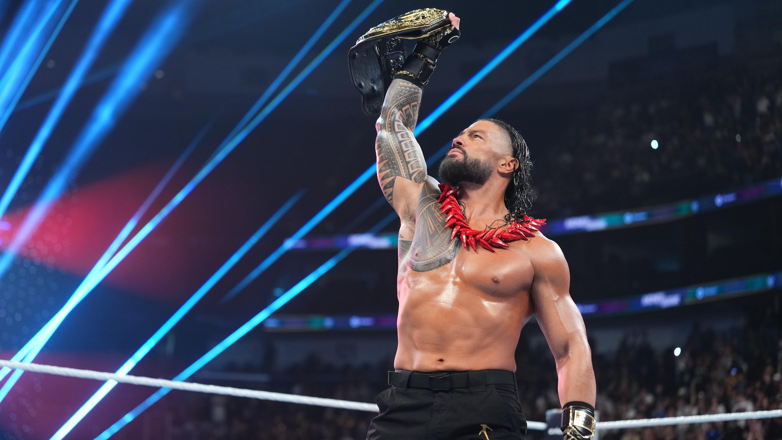 WWE: Money In The Bank WWE: Money In The Bank