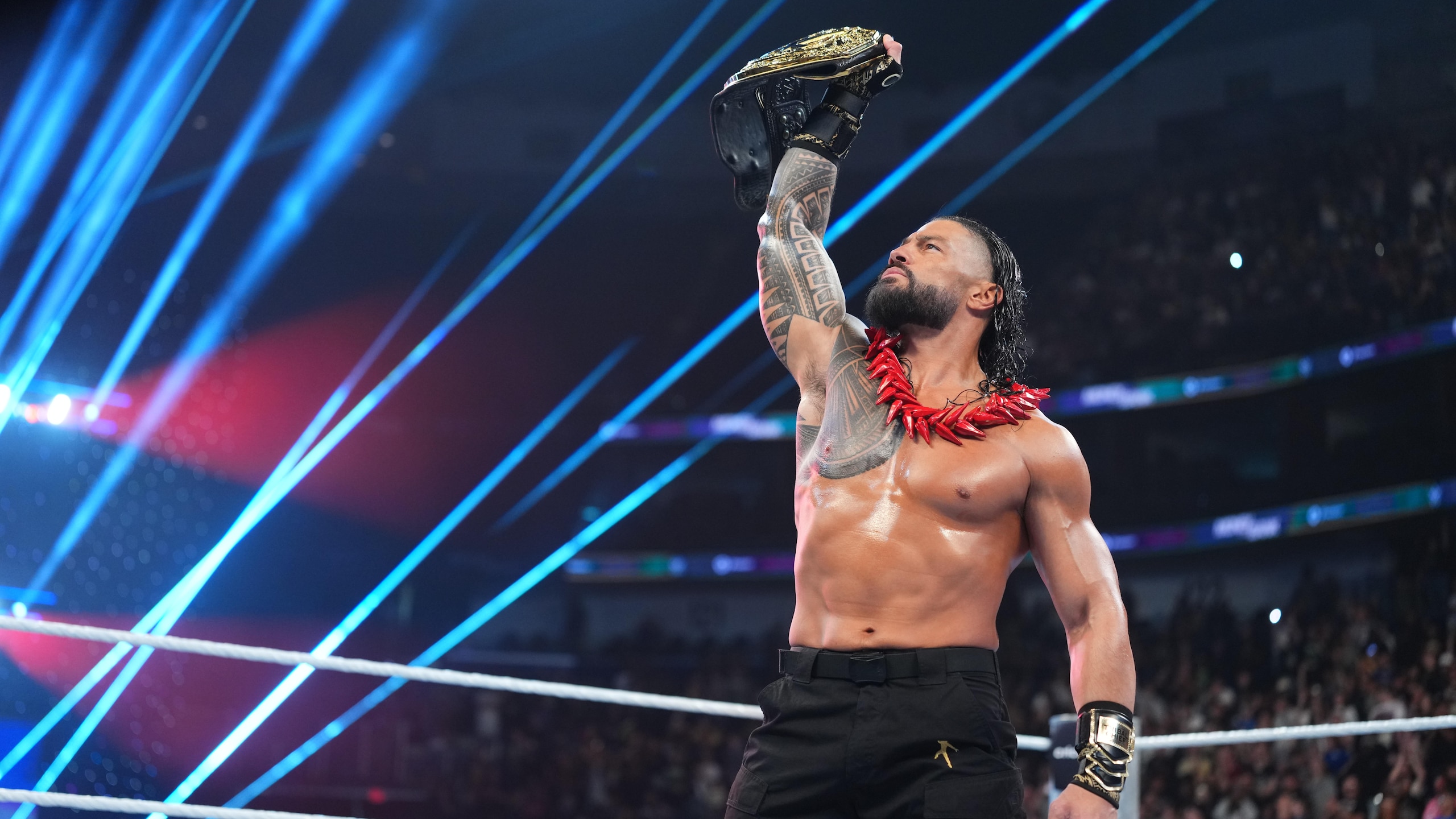 WWE: Money In The Bank WWE: Money In The Bank