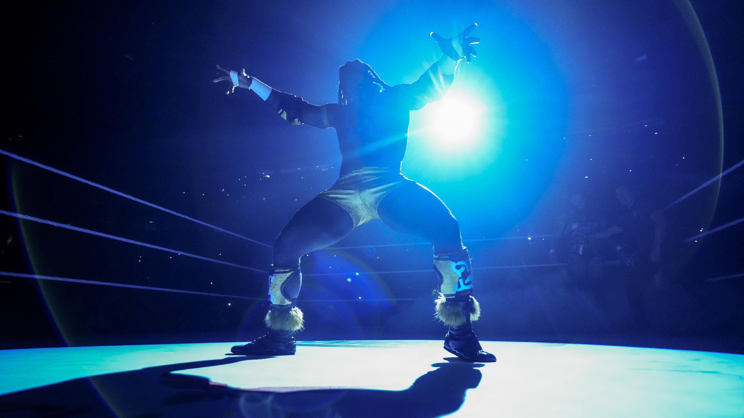WWE: Money In The Bank