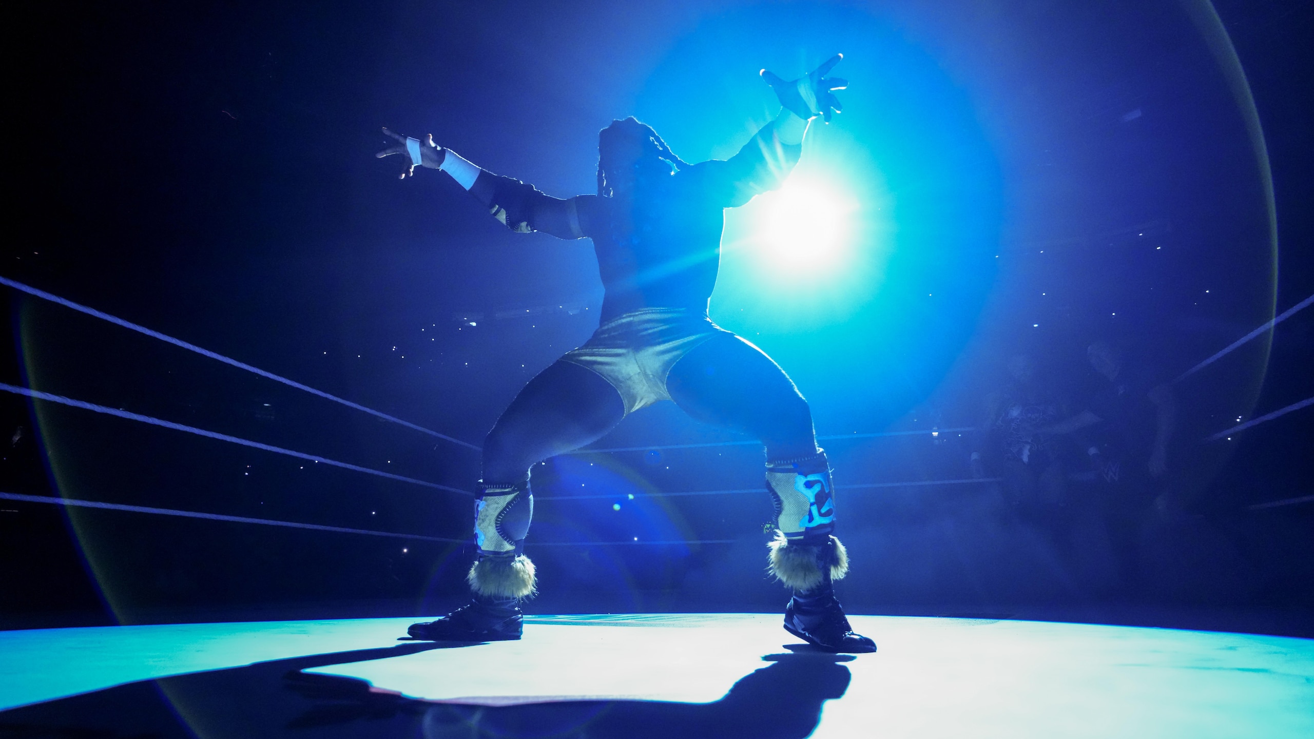 WWE: Money In The Bank WWE: Money In The Bank