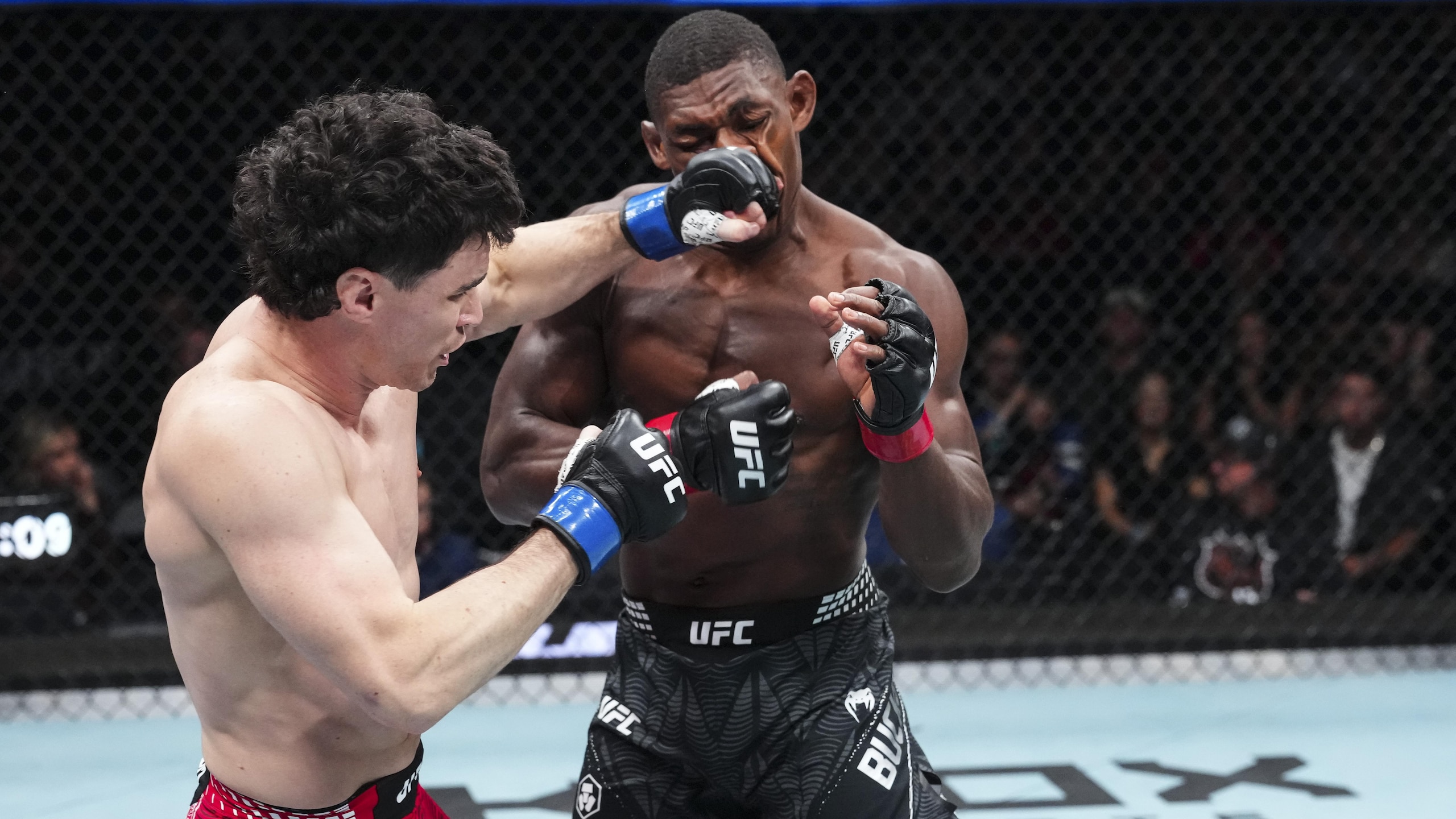UFC Fight Night: Buckley v Malott