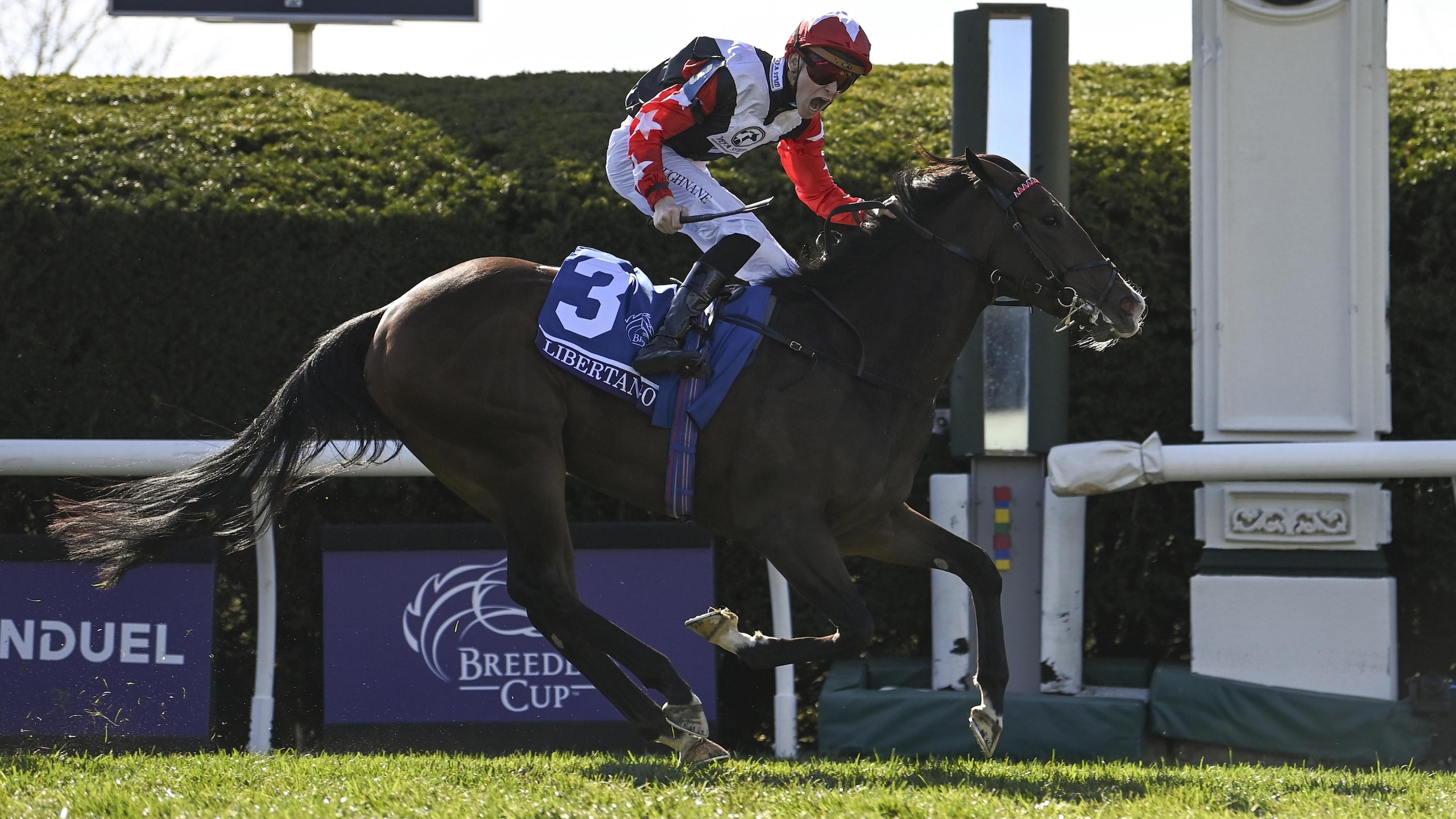 43rd Breeders' Cup World Championships
