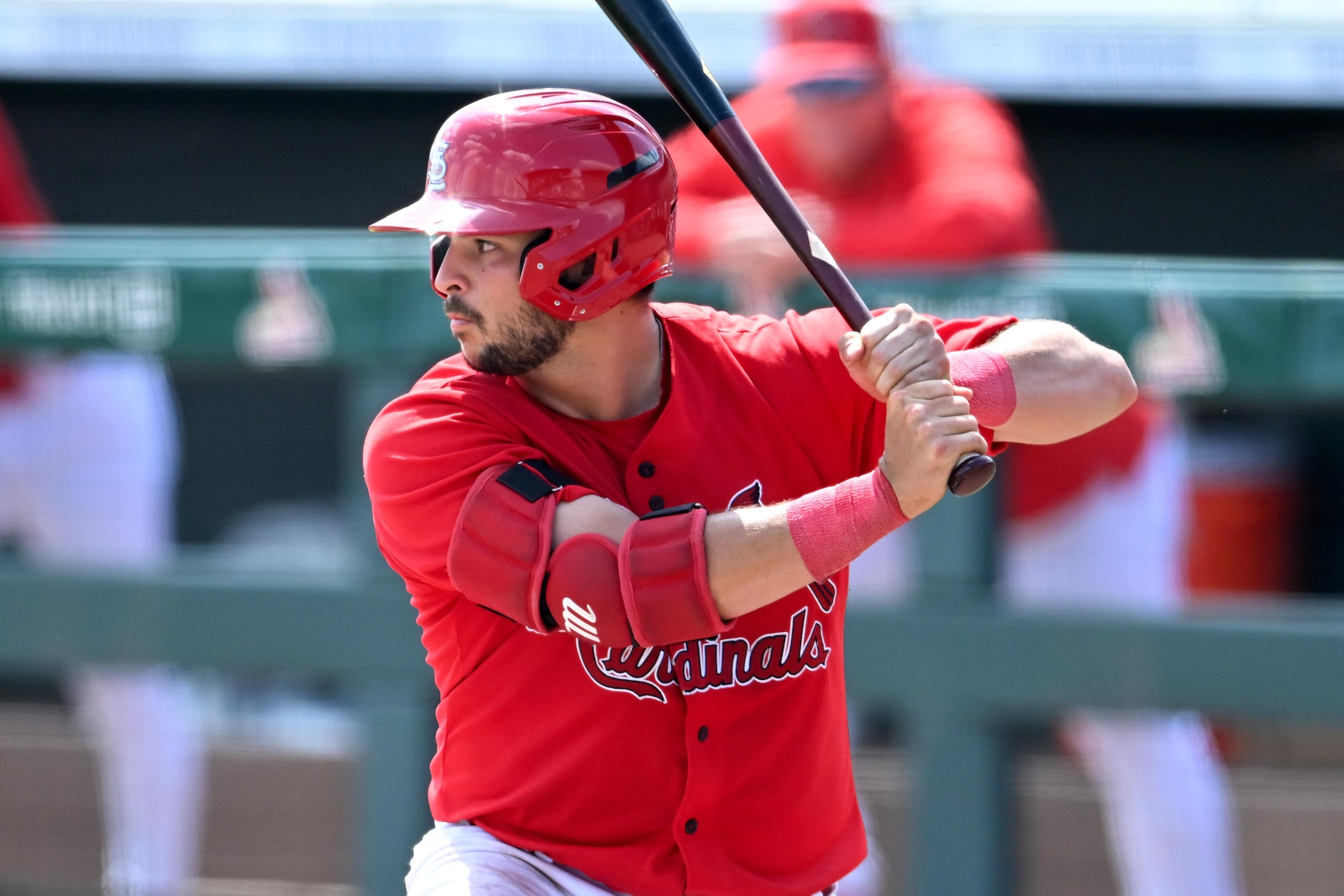 Spring Breakout - Houston Astros v St. Louis Cardinals Spring Breakout - Houston Astros v St. Louis Cardinals