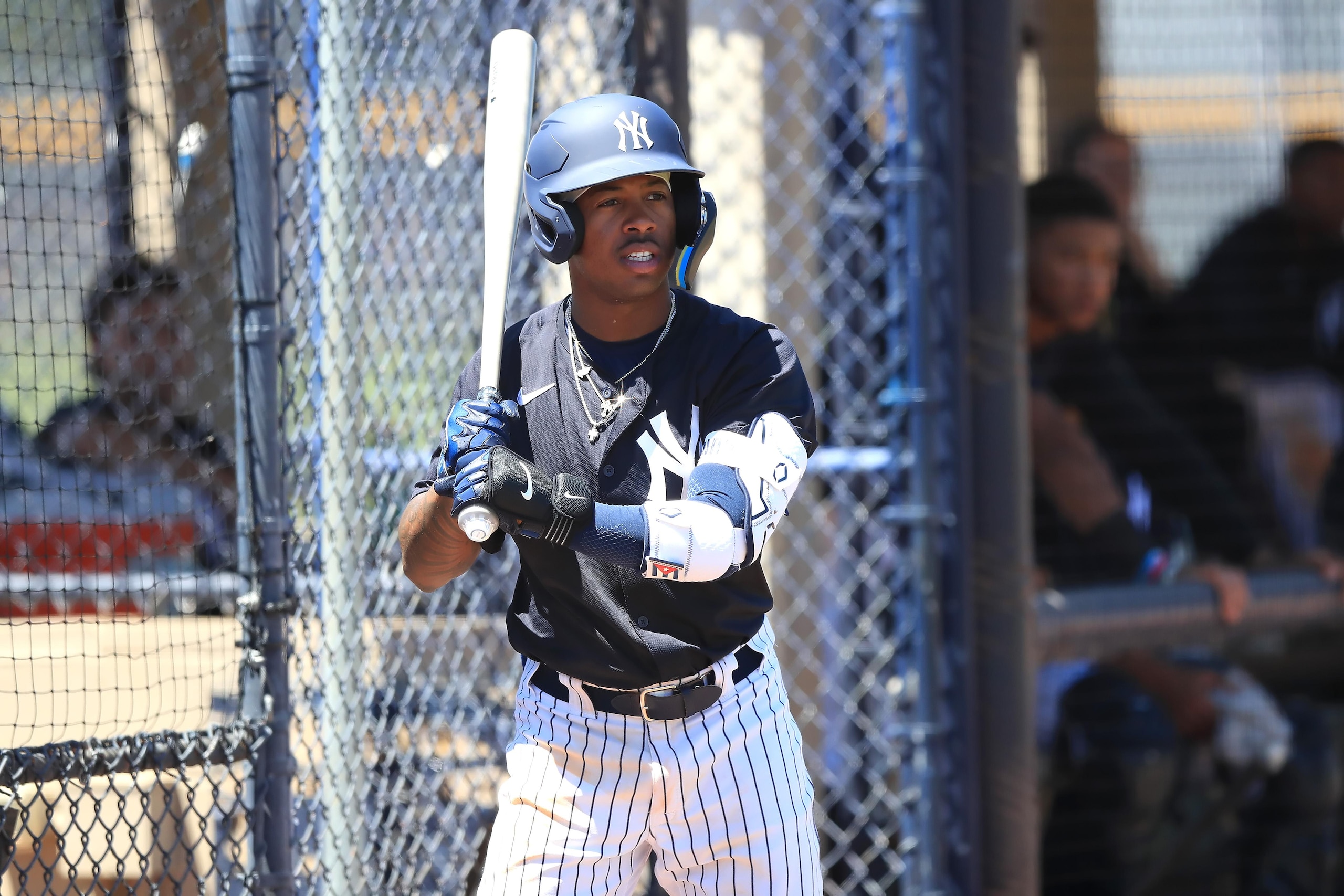 MiLB: APR 12 - Florida Complex League - Tigers at Yankees MiLB: APR 12 - Florida Complex League - Tigers at Yankees