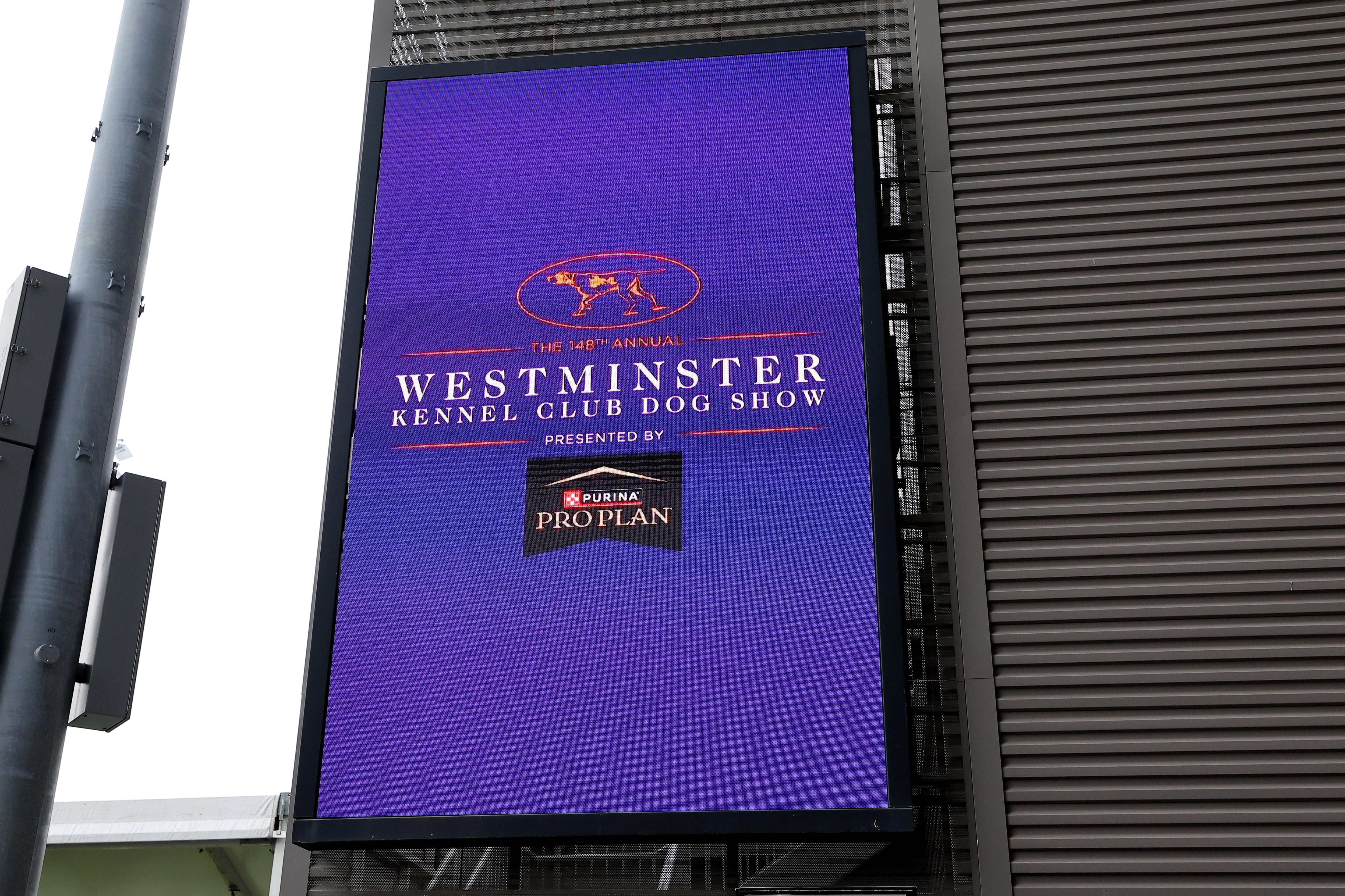 OTHER: MAY 14 Westminster Dog Show