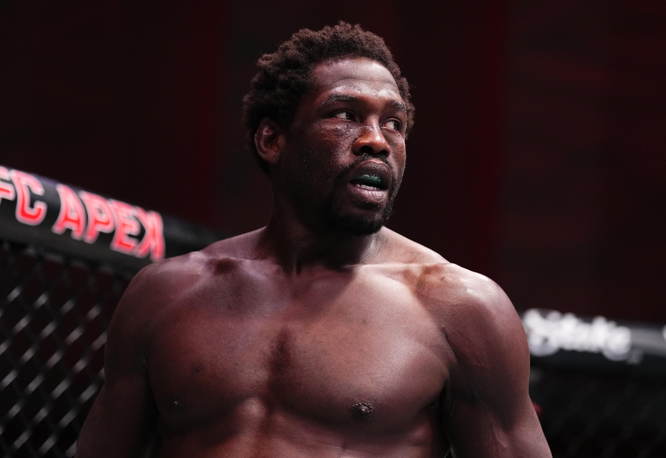 UFC Fight Night: Cannonier v Borralho UFC Fight Night: Cannonier v Borralho