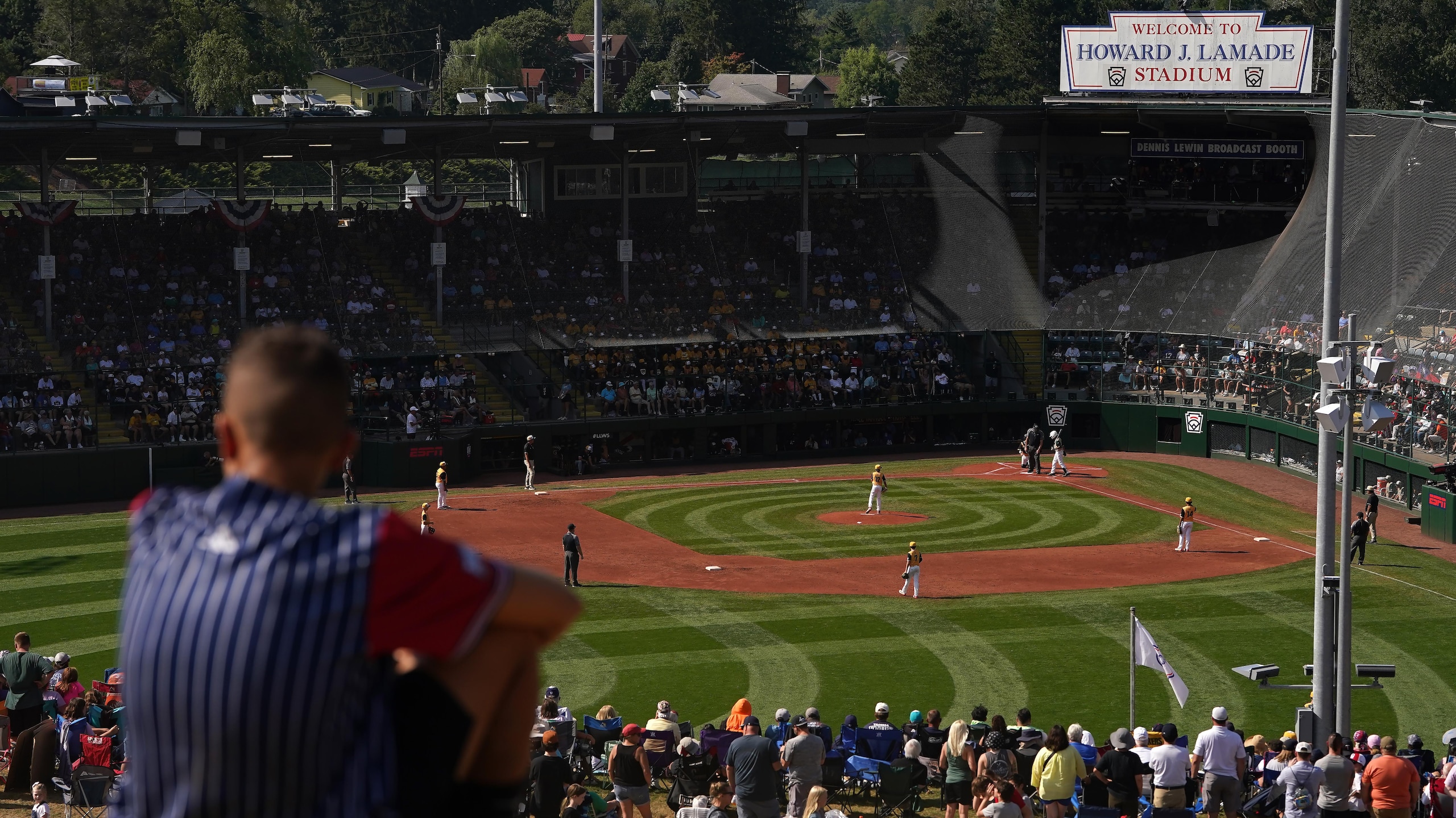 Little League World Series