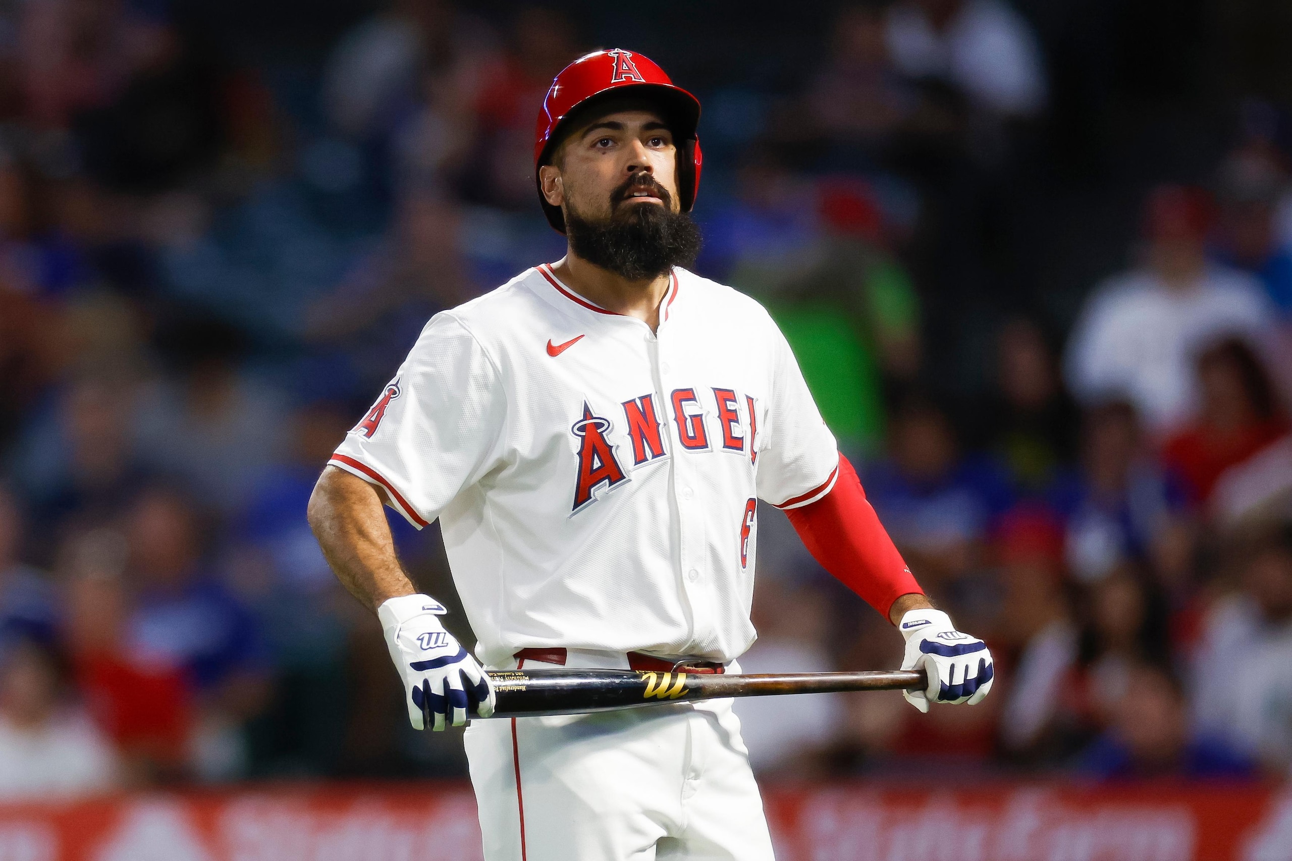 Los Angeles Dodgers v Los Angeles Angels