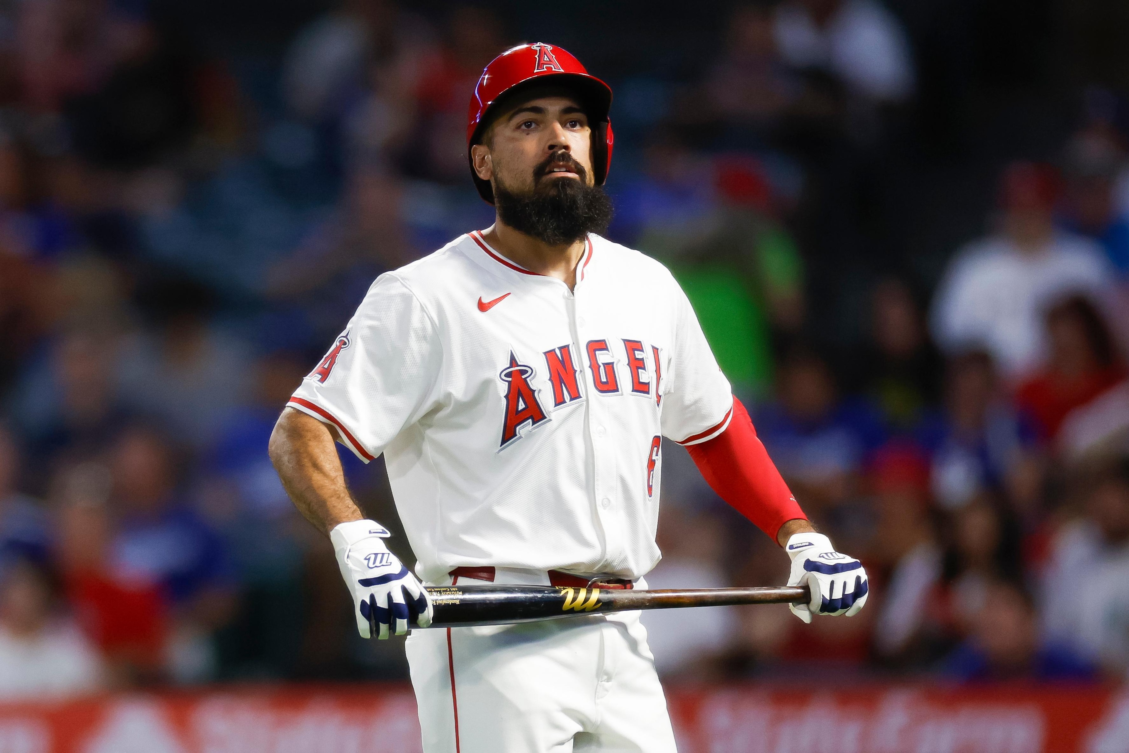 Los Angeles Dodgers v Los Angeles Angels