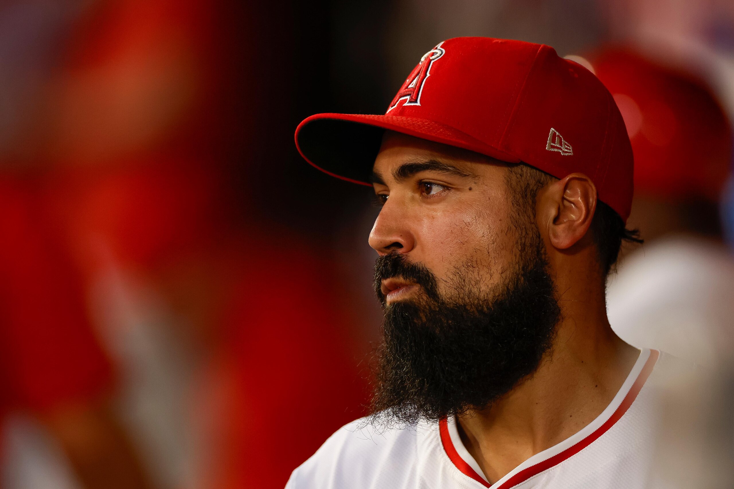 Los Angeles Dodgers v Los Angeles Angels