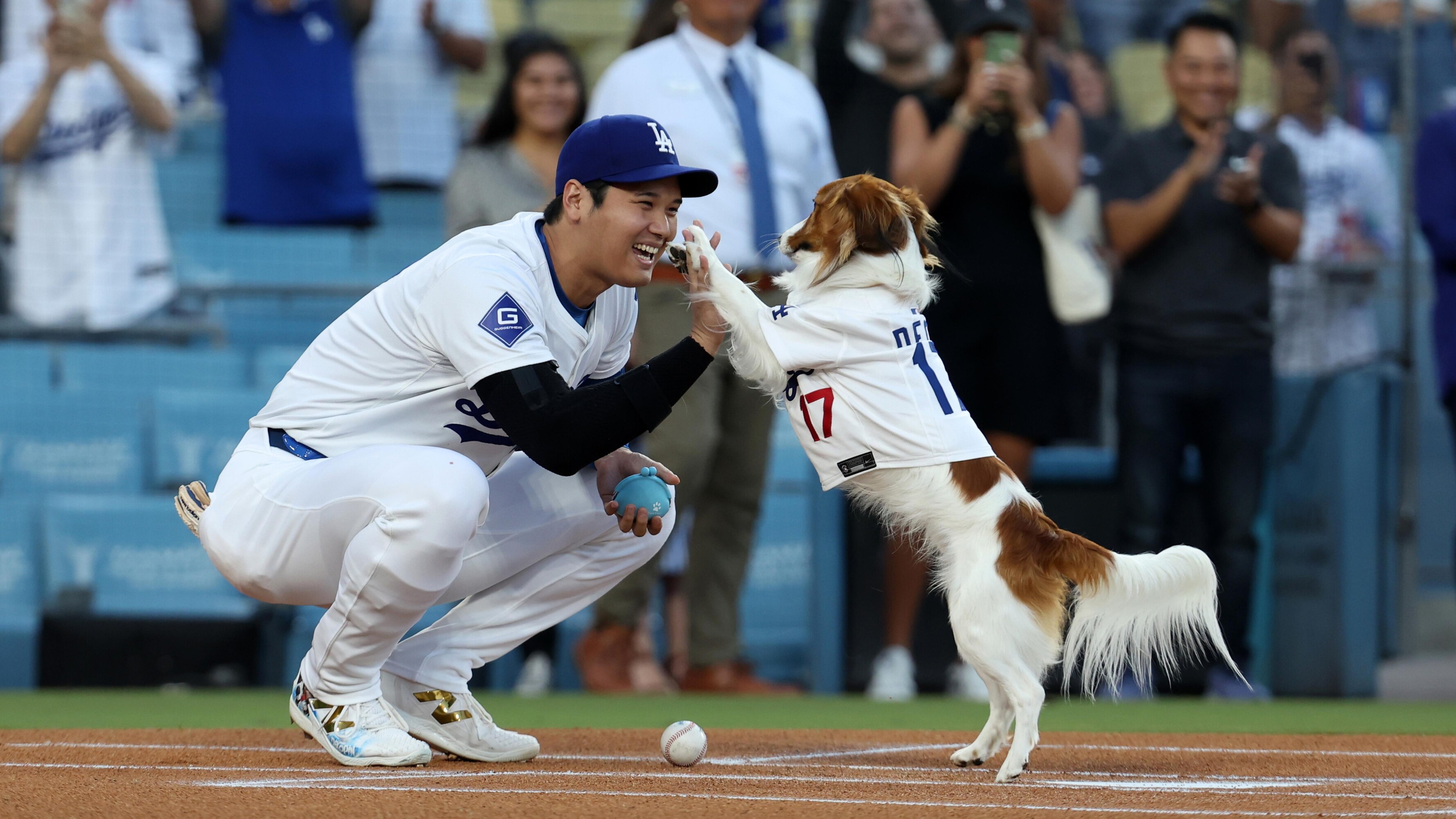 Dodgers' Shohei Ohtani Announces Children's Book Featuring His Dog Decoy in IG Photo
