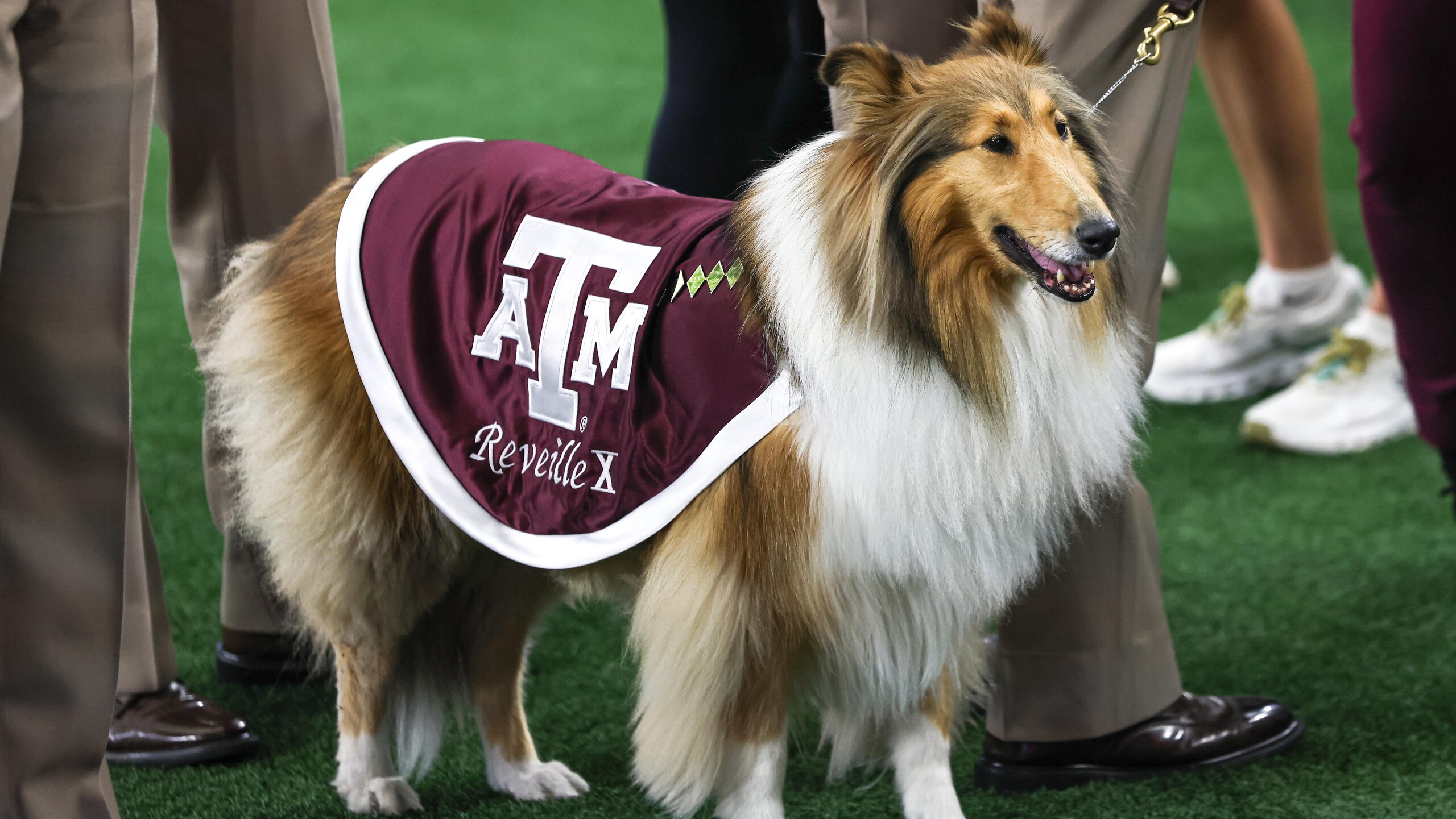 COLLEGE FOOTBALL: SEP 28 Southwest Classic - Arkansas vs Texas A&M