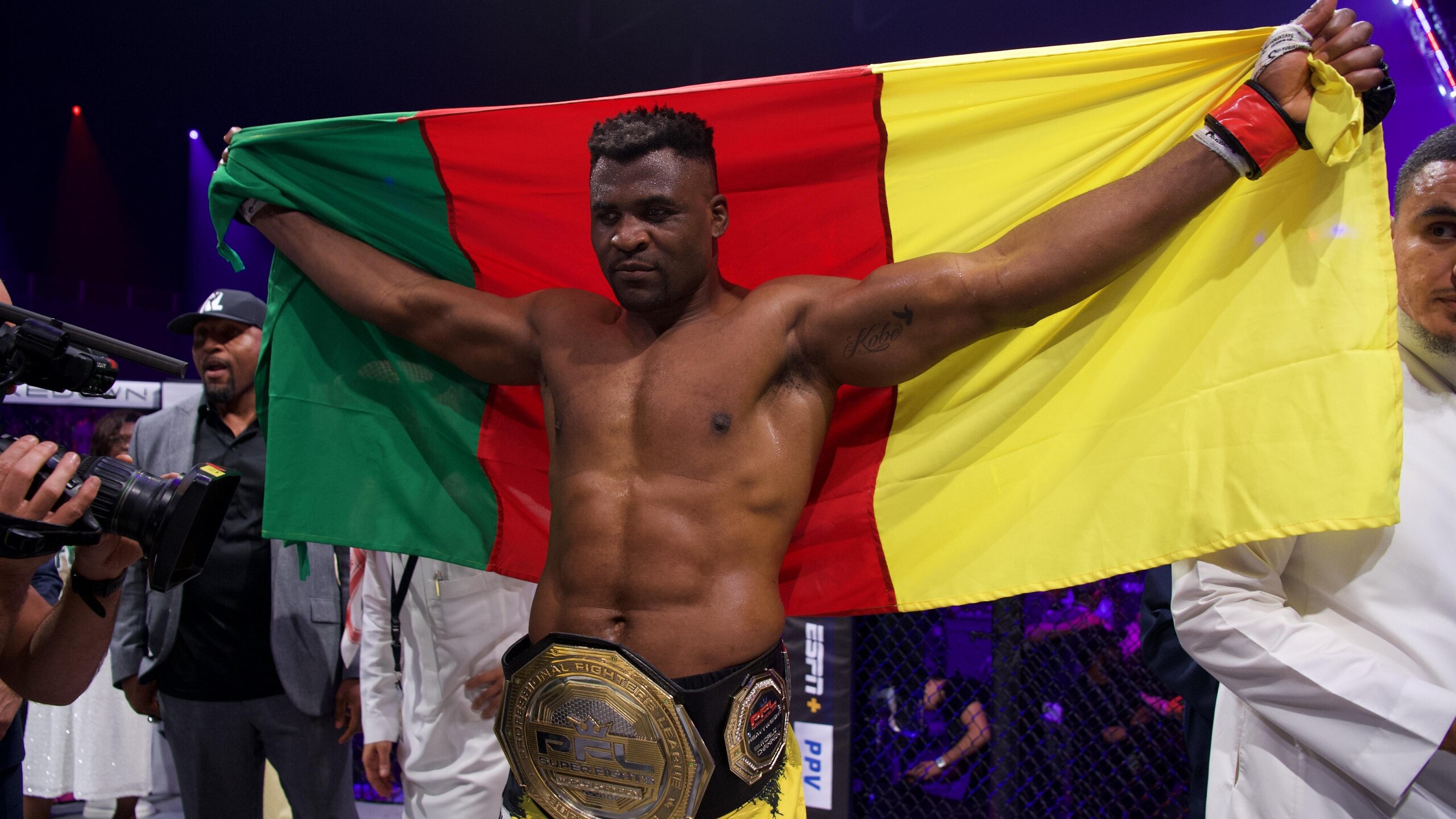 Professional Fighters League MENA