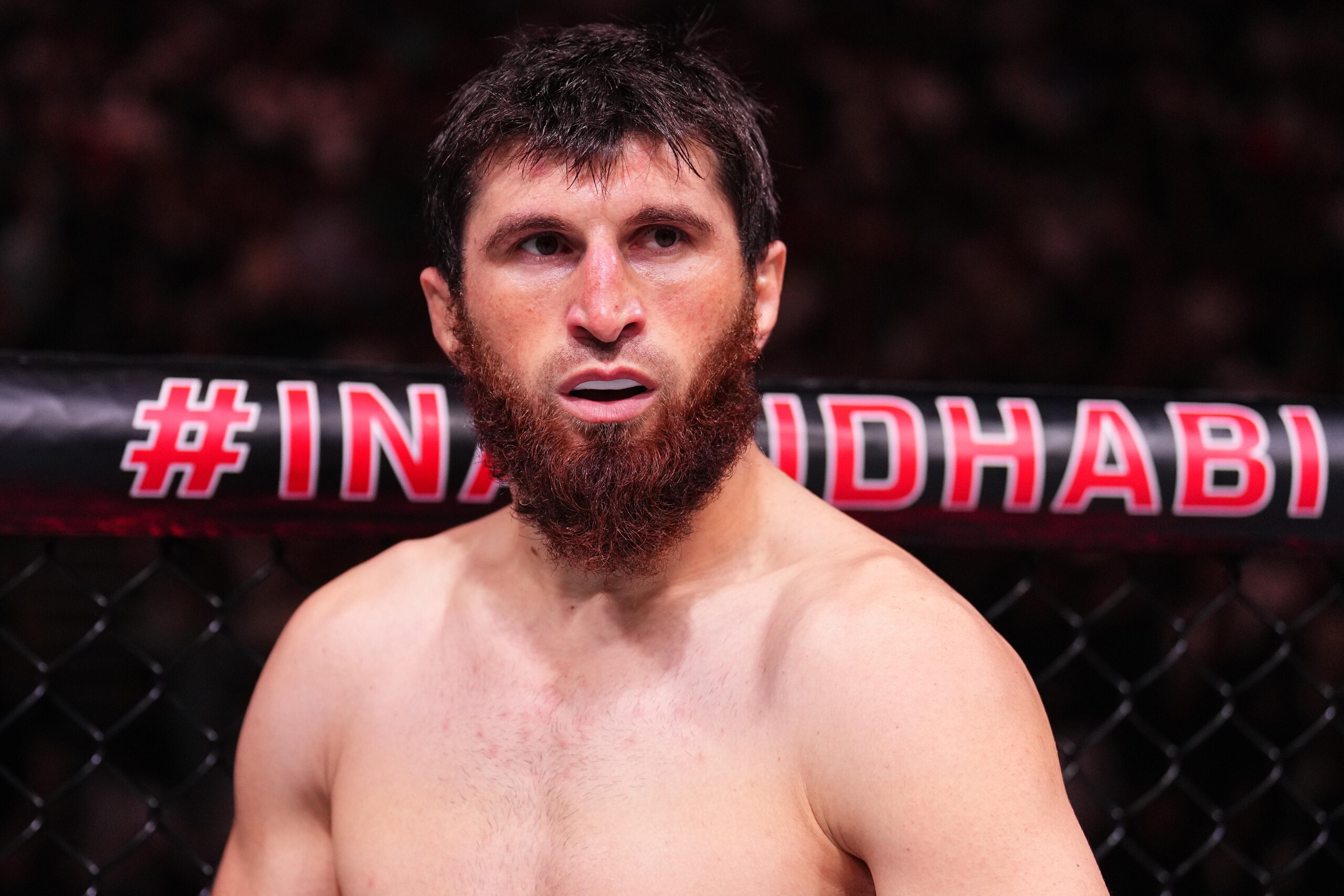 UFC 308: Ankalaev v Rakic UFC 308: Ankalaev v Rakic