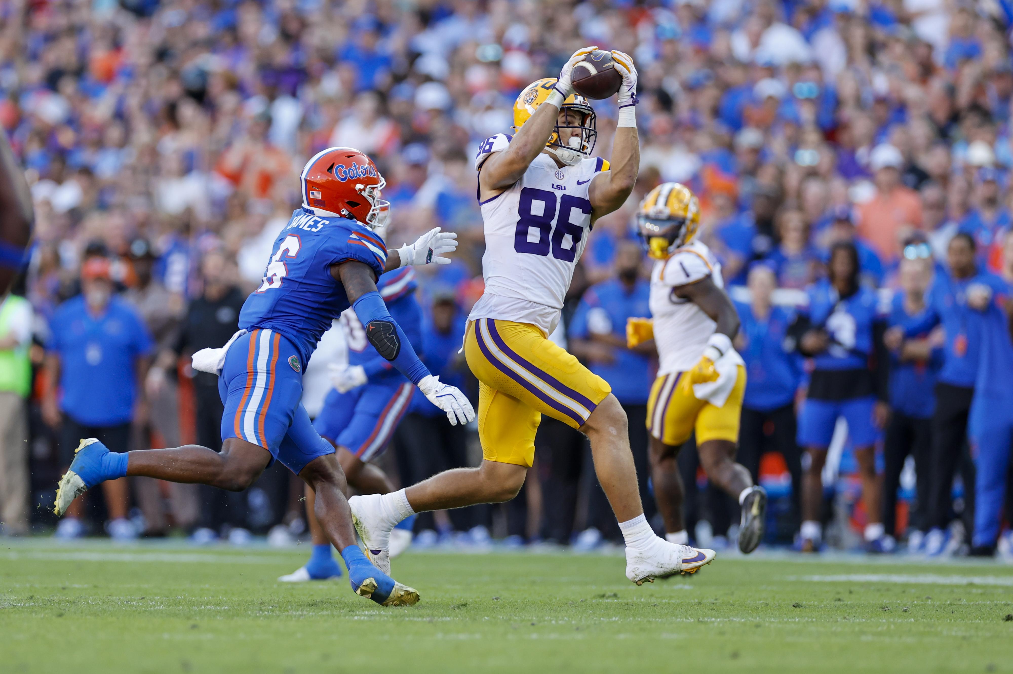 COLLEGE FOOTBALL: NOV 16 LSU at Florida