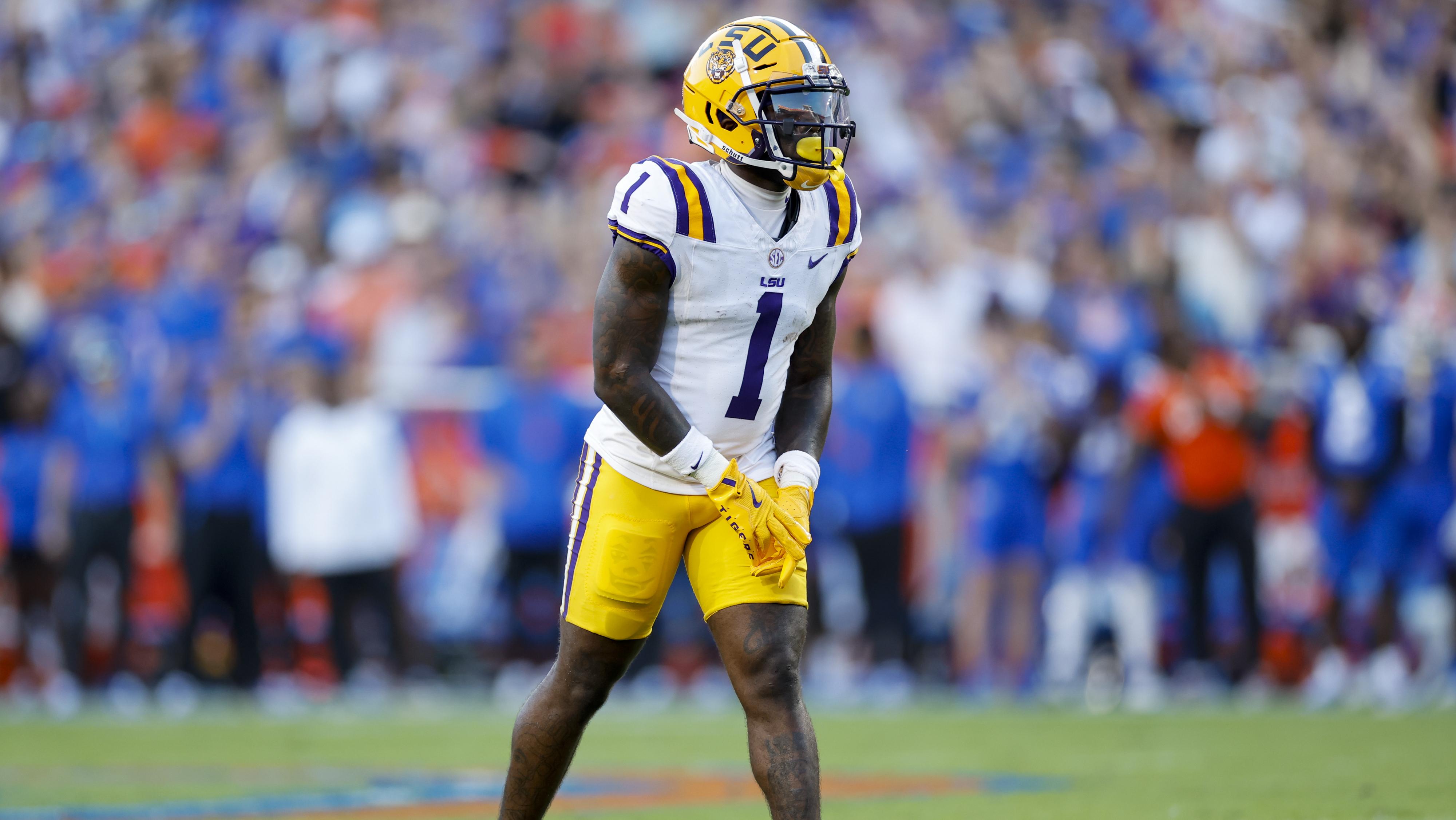 COLLEGE FOOTBALL: NOV 16 LSU at Florida