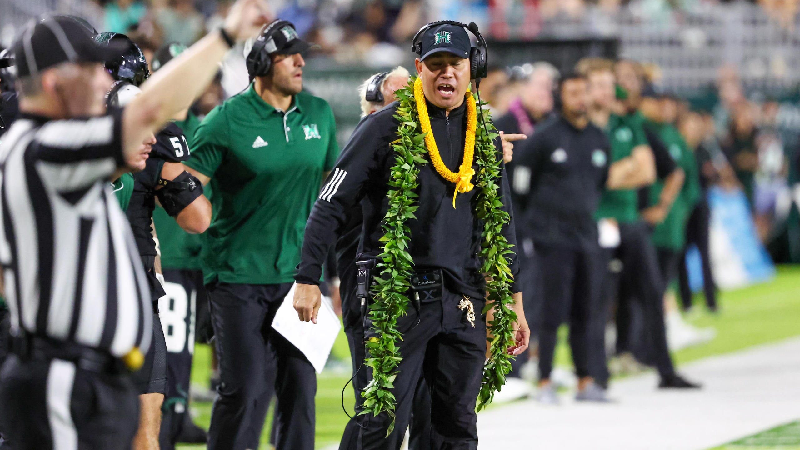 New Mexico v Hawaii