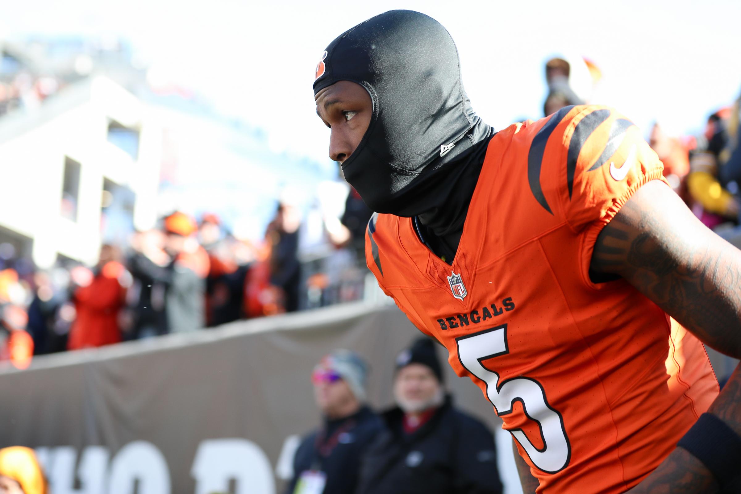 NFL: DEC 01 Steelers at Bengals