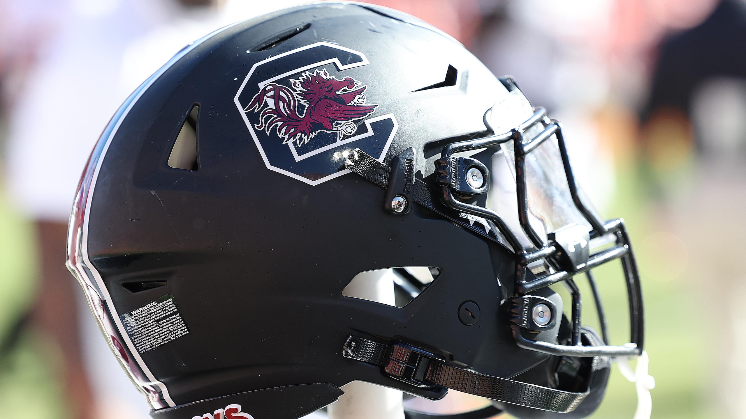 COLLEGE FOOTBALL: NOV 30 South Carolina at Clemson