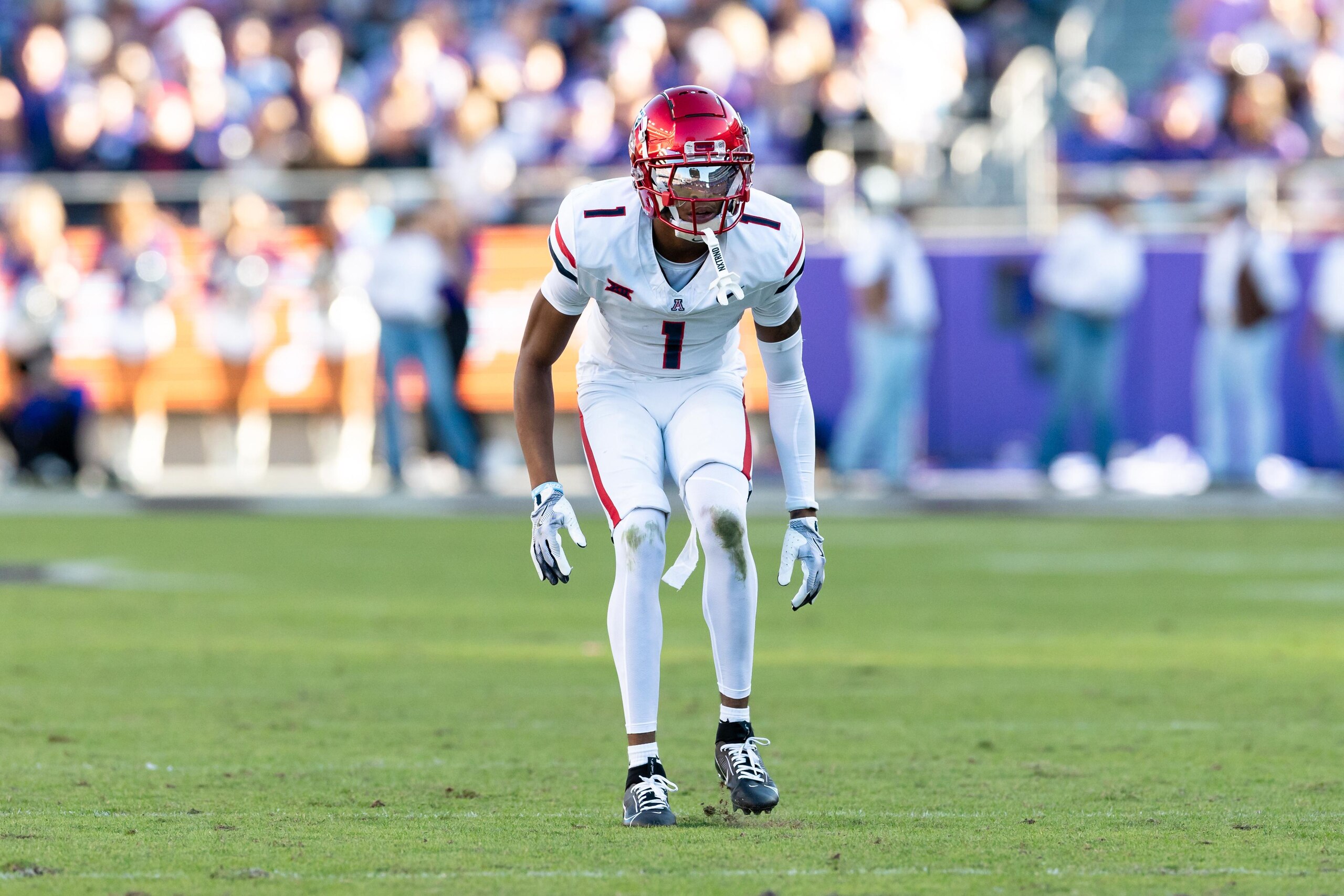 COLLEGE FOOTBALL: NOV 23 Arizona at TCU COLLEGE FOOTBALL: NOV 23 Arizona at TCU