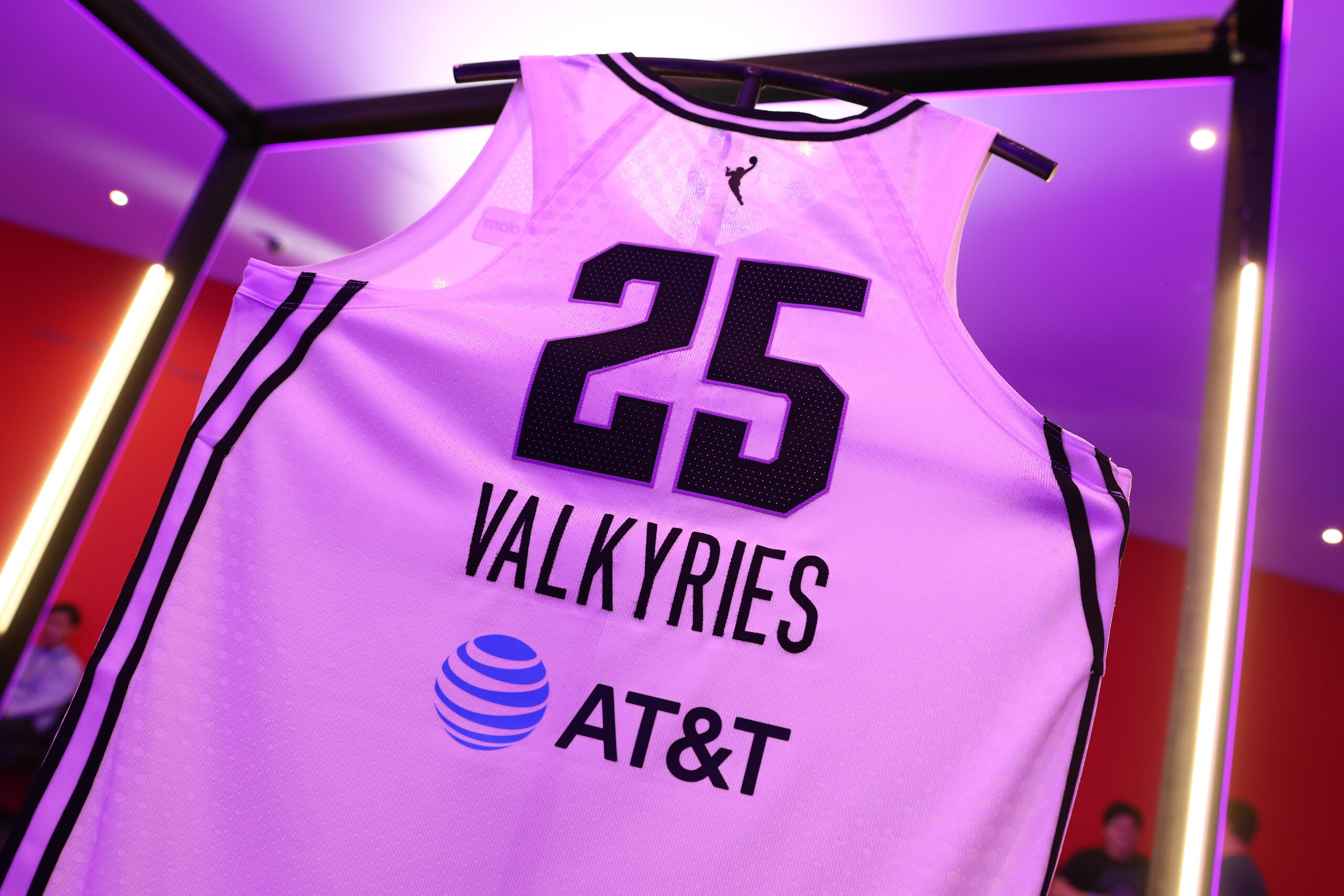 2024 WNBA Expansion Draft 2024 WNBA Expansion Draft