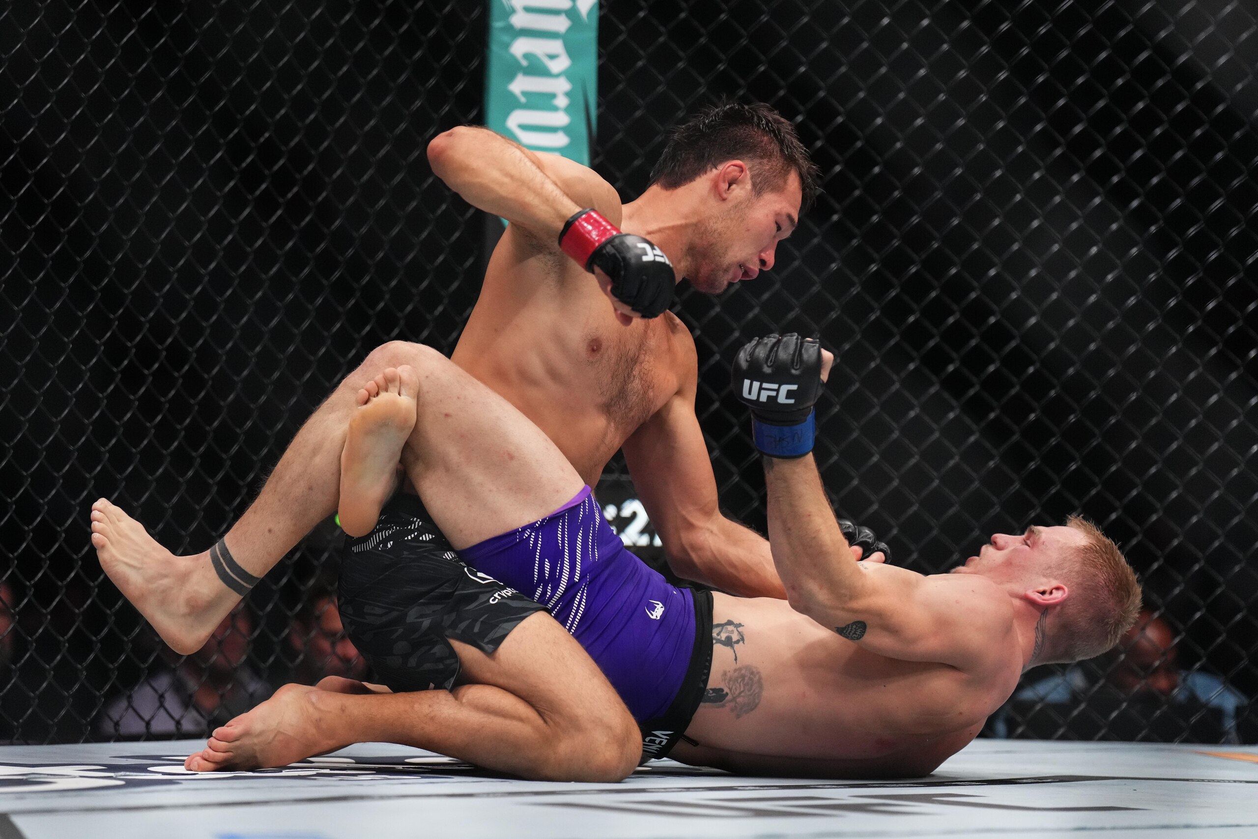 UFC 310: Pantoja v Asakura UFC 310: Pantoja v Asakura