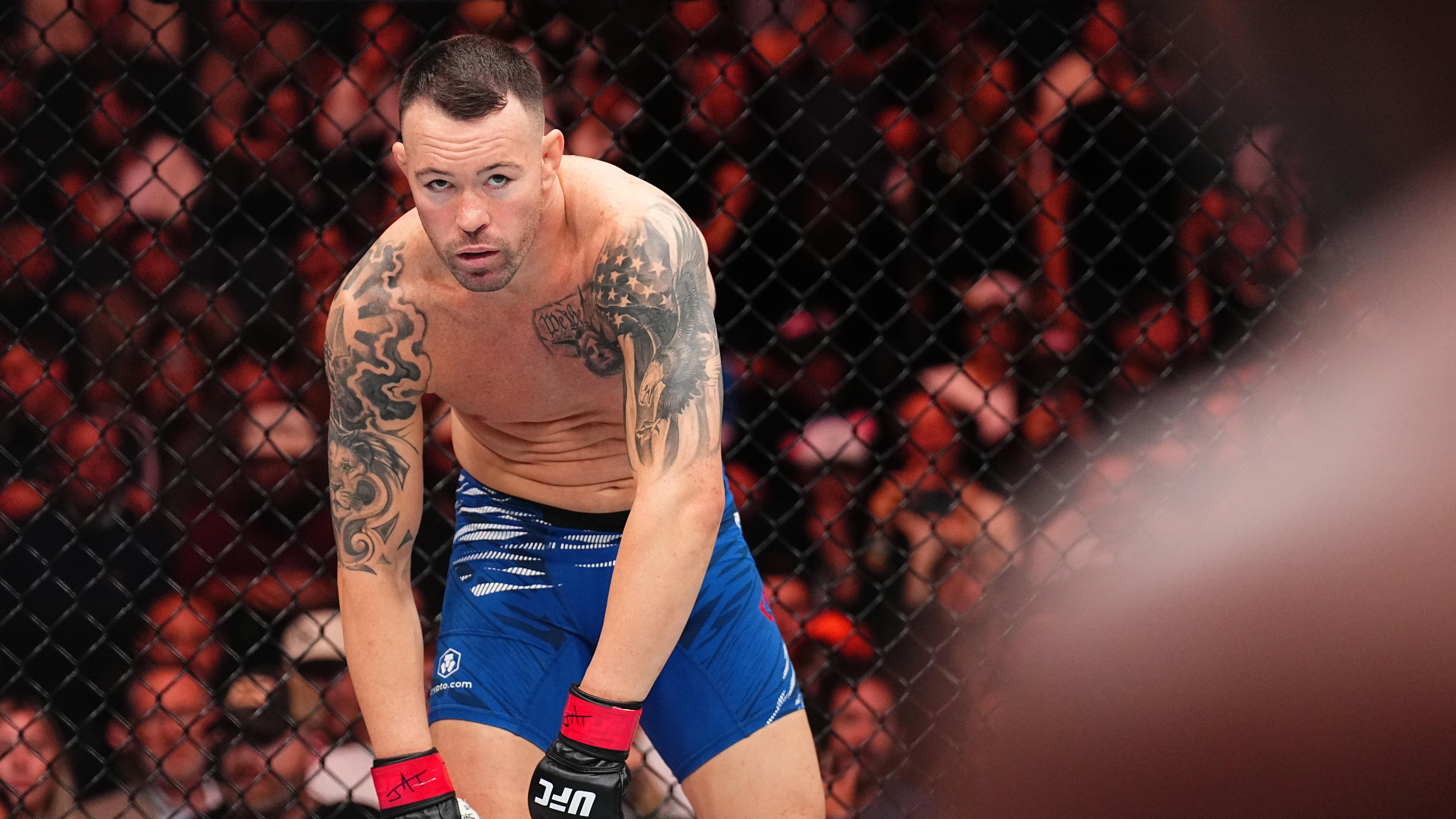 UFC Fight Night: Covington v Buckley