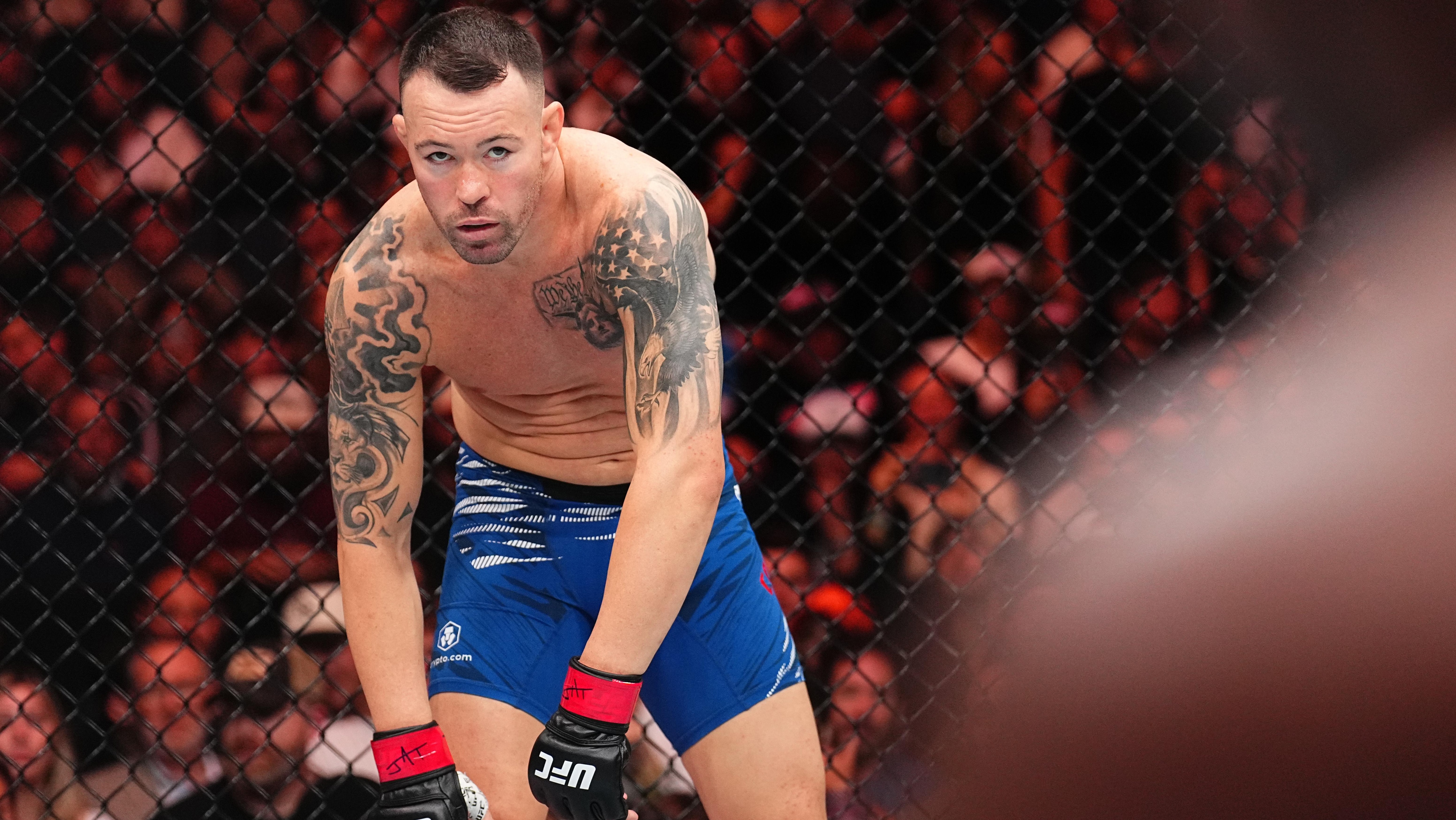 UFC Fight Night: Covington v Buckley