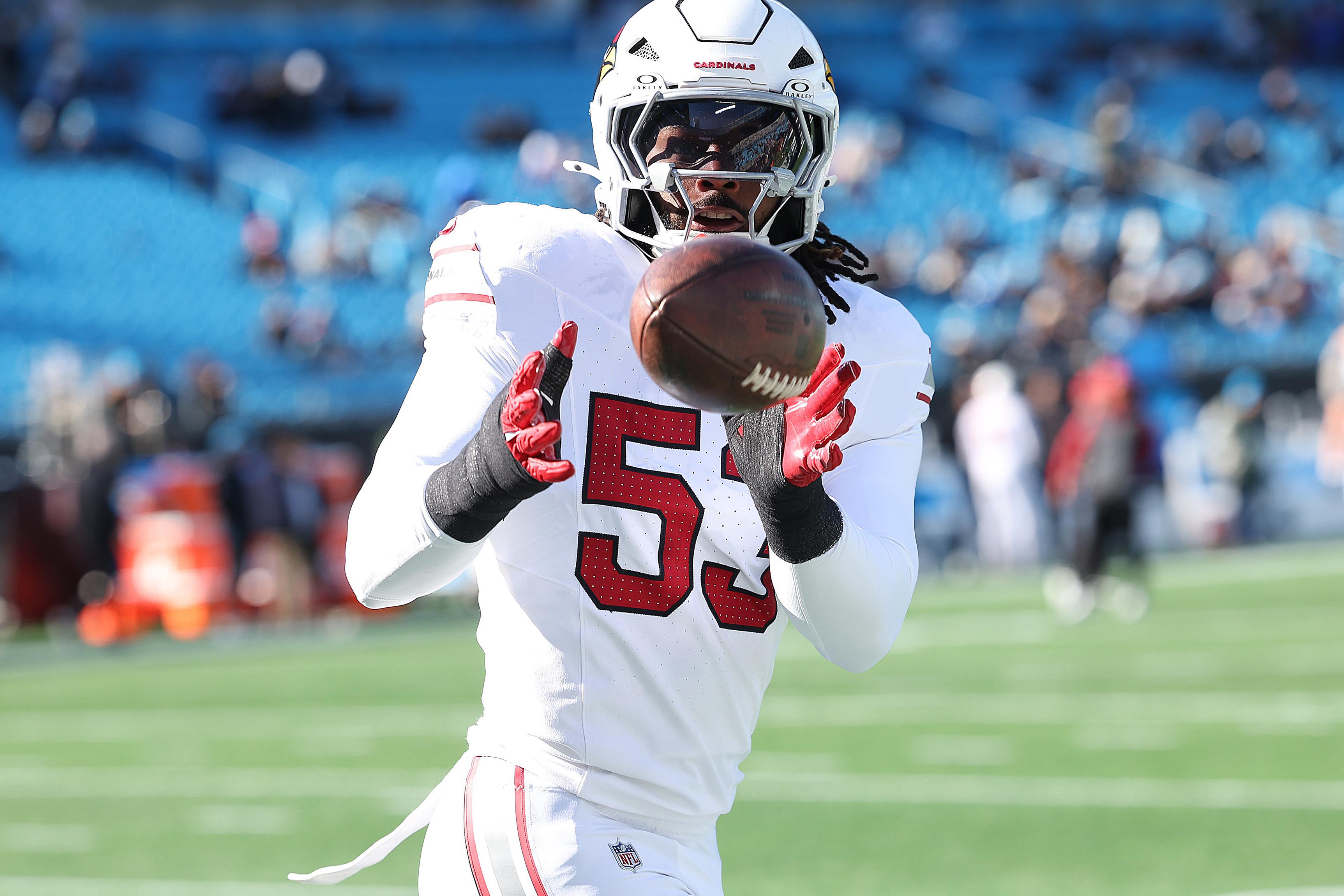 NFL: DEC 22 Cardinals at Panthers