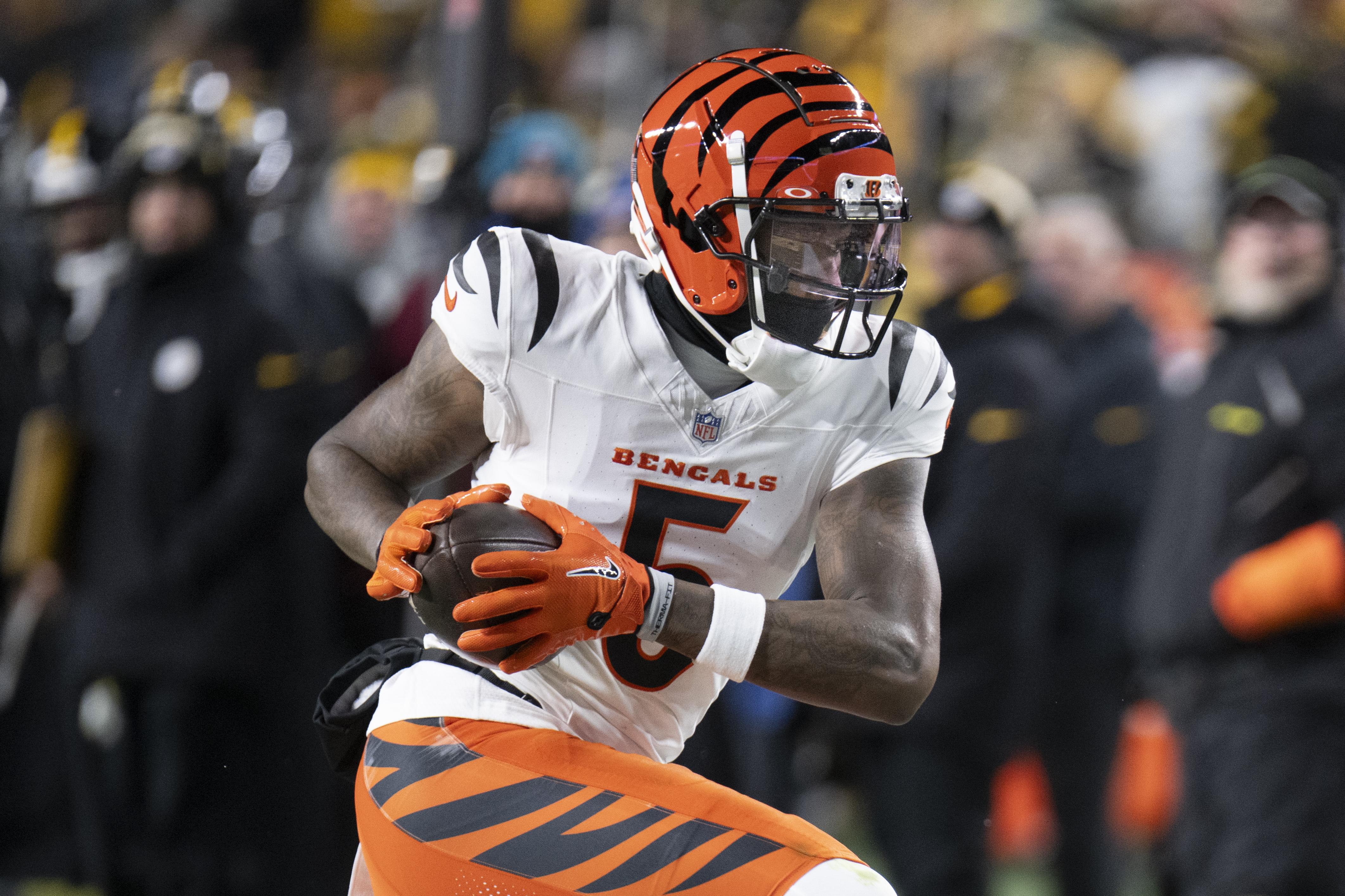 NFL: JAN 04 Bengals at Steelers