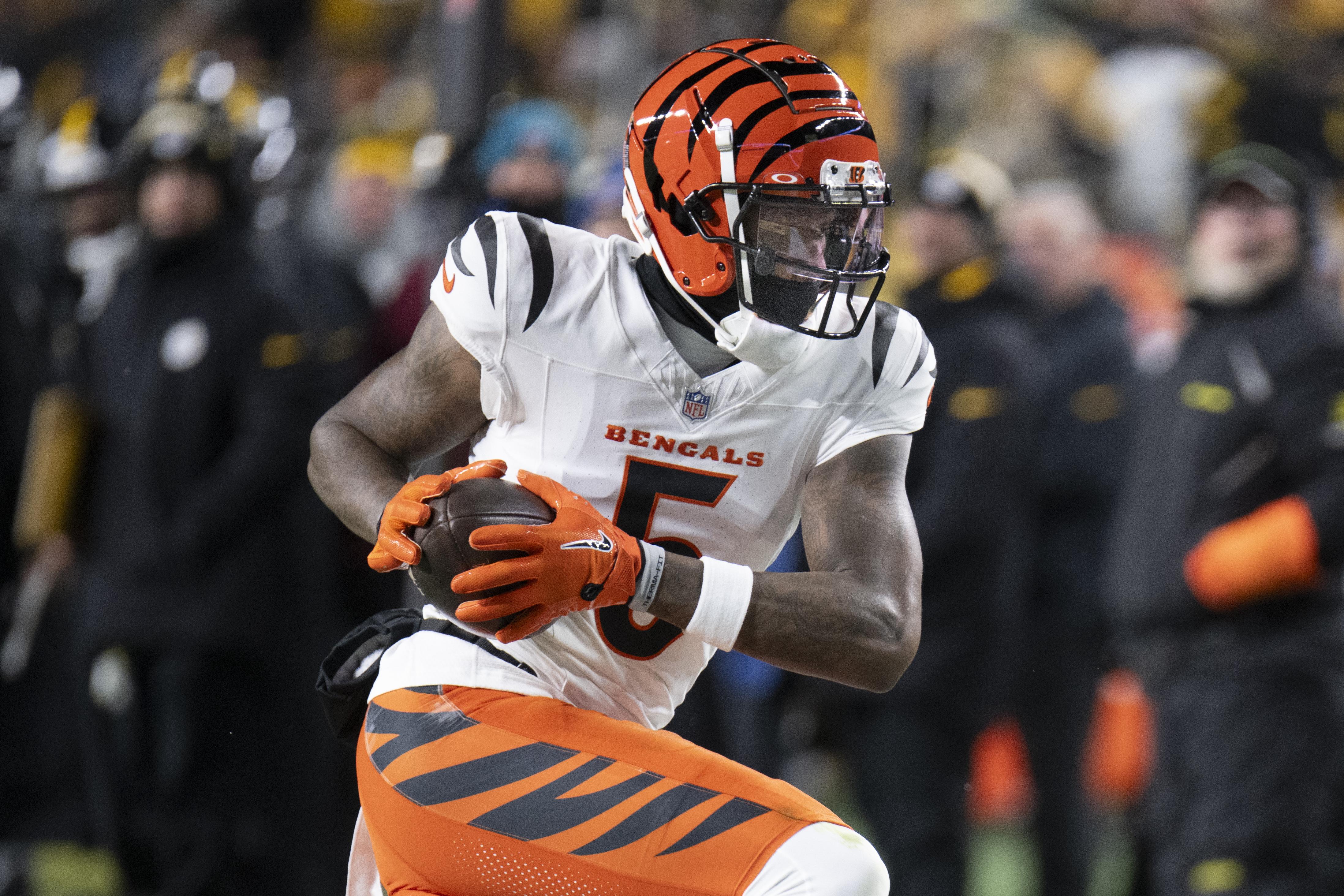 NFL: JAN 04 Bengals at Steelers