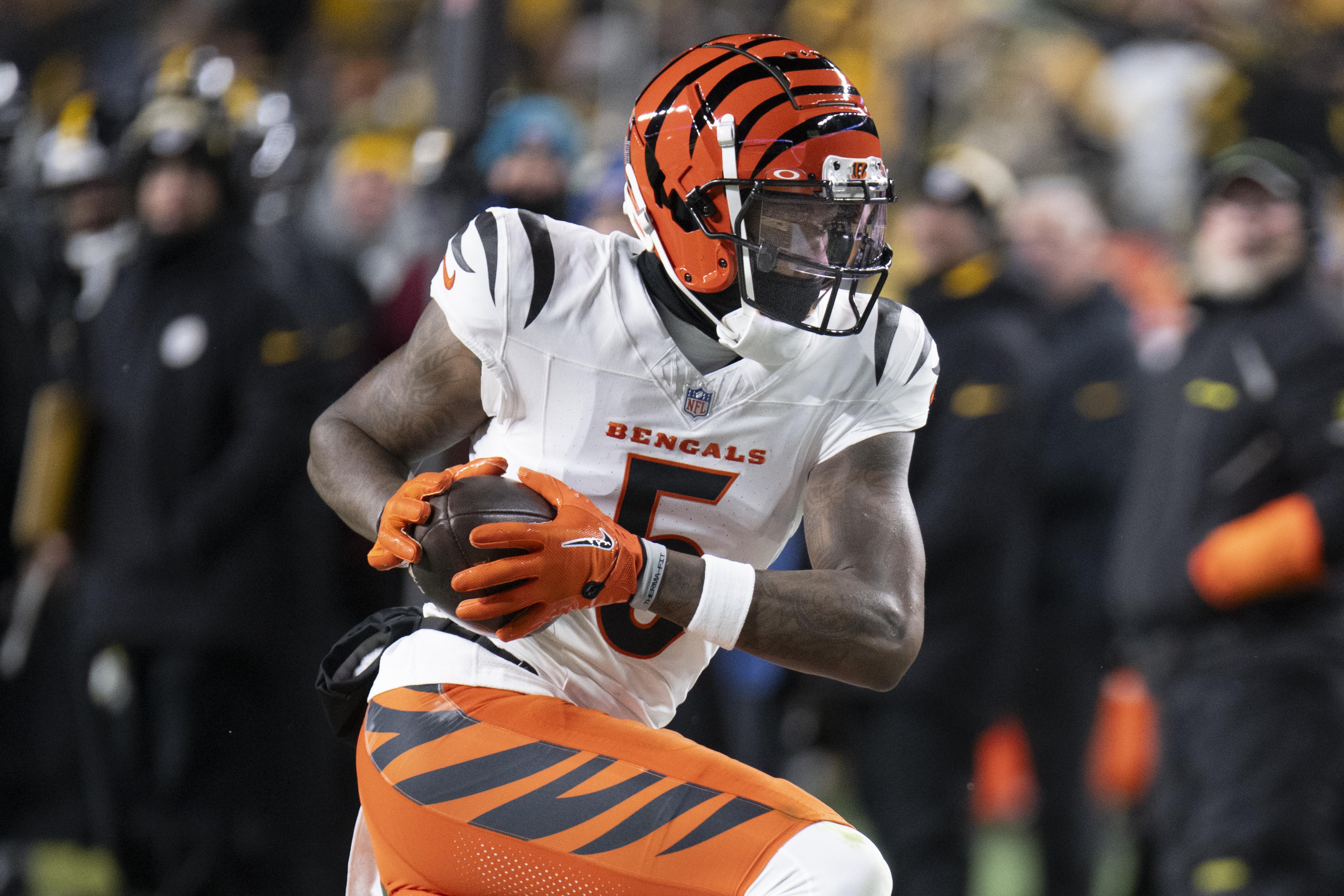 NFL: JAN 04 Bengals at Steelers