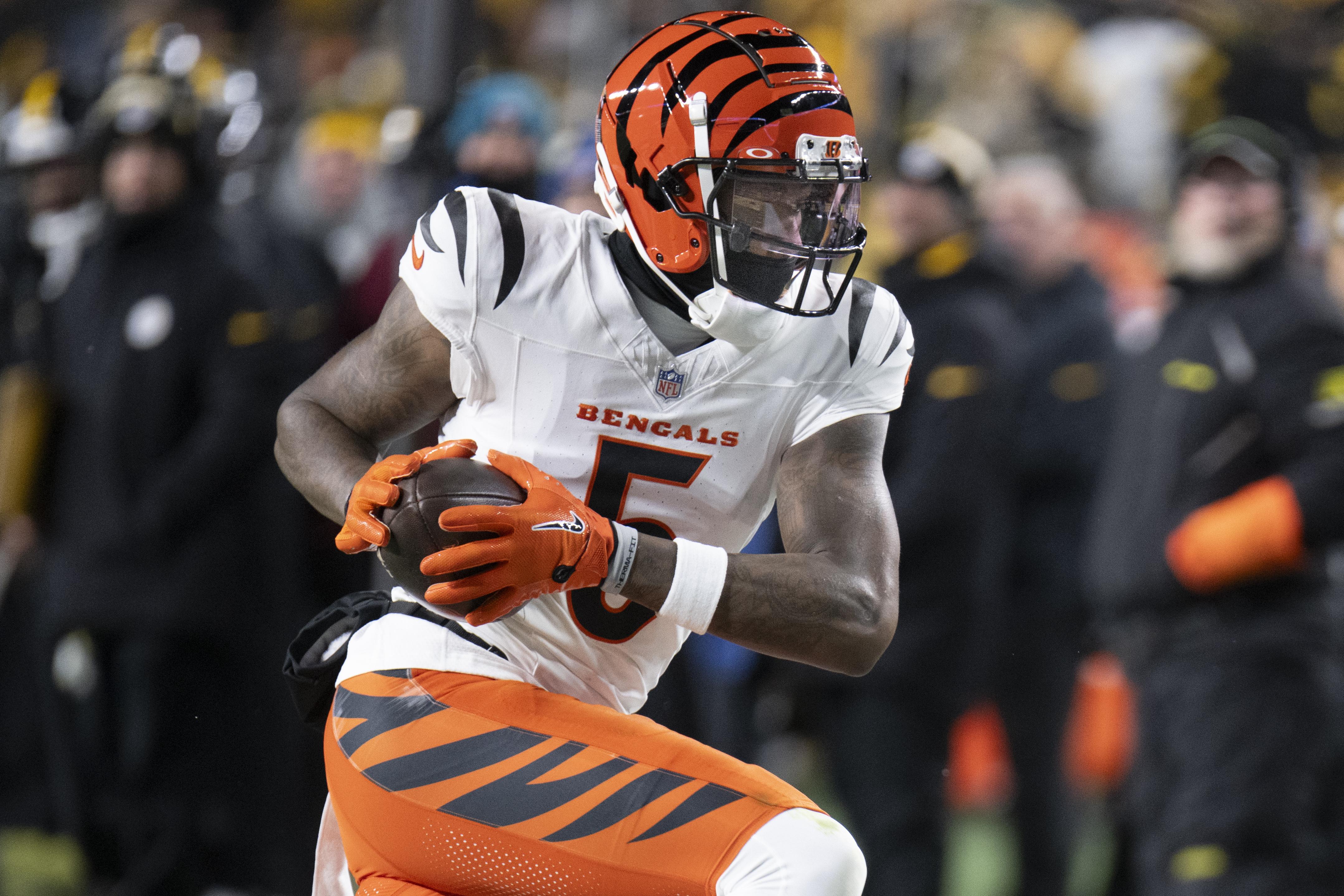 NFL: JAN 04 Bengals at Steelers