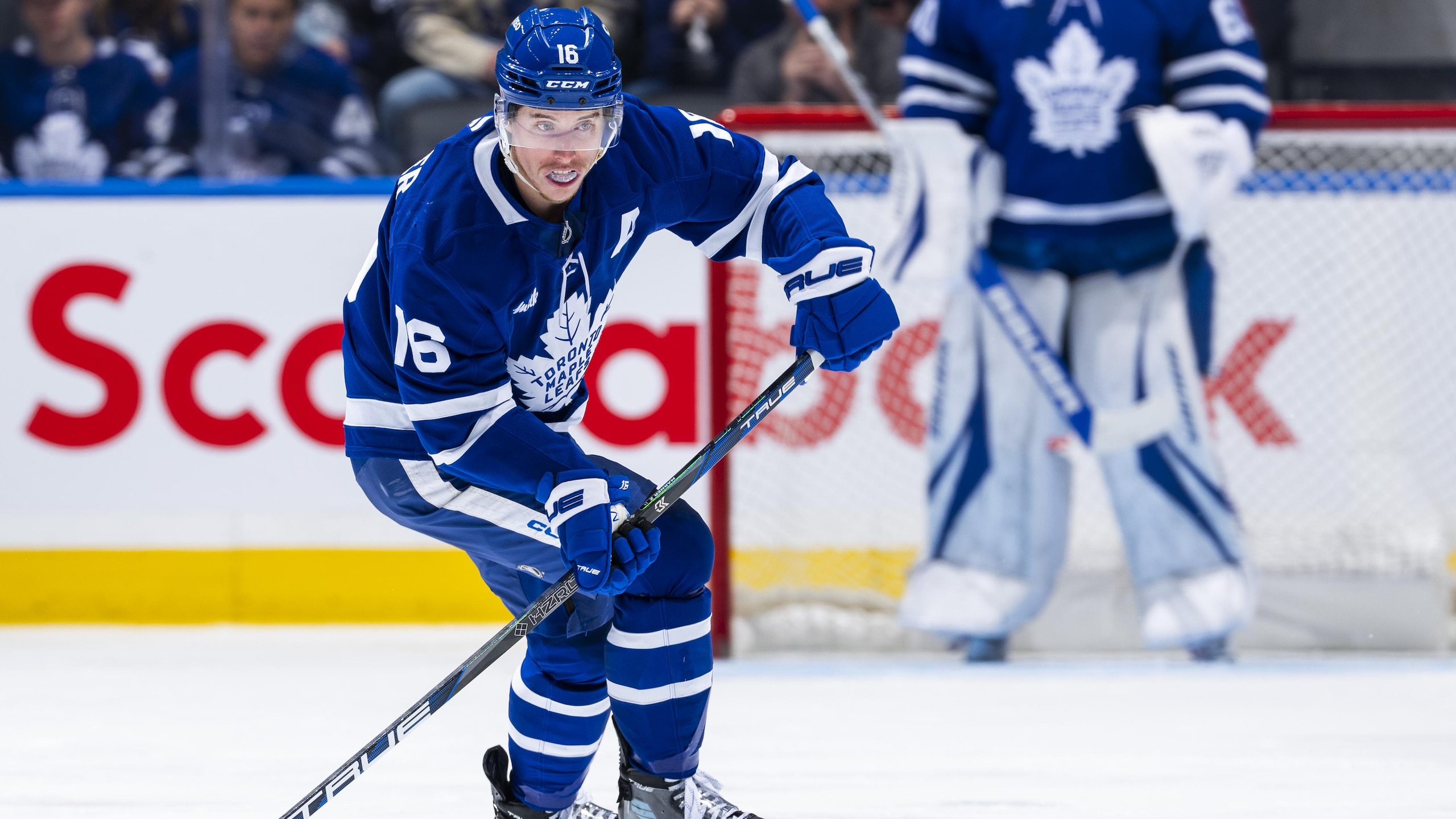 New York Islanders v Toronto Maple Leafs