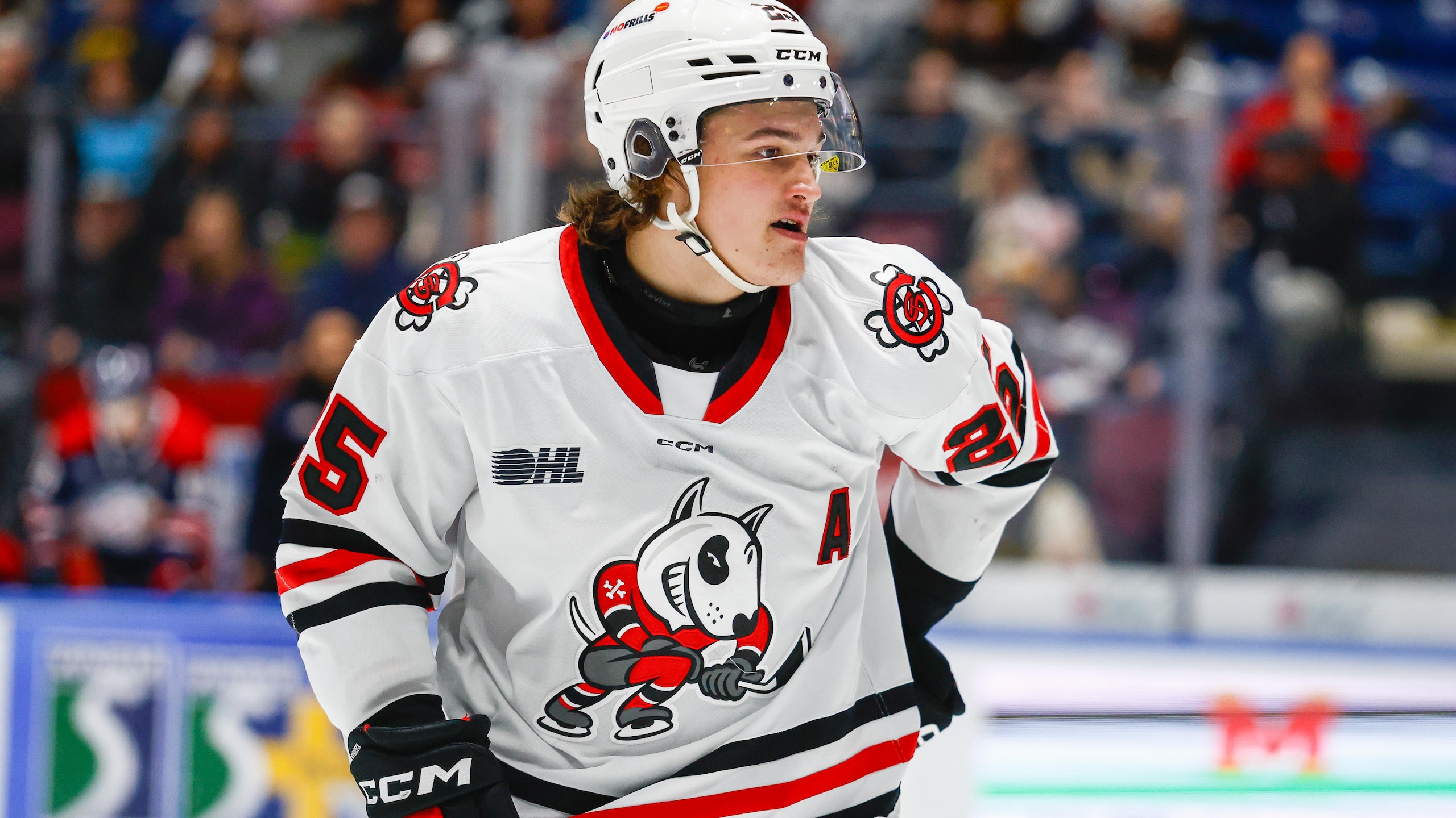 Niagara Ice Dogs v Saginaw Spirit