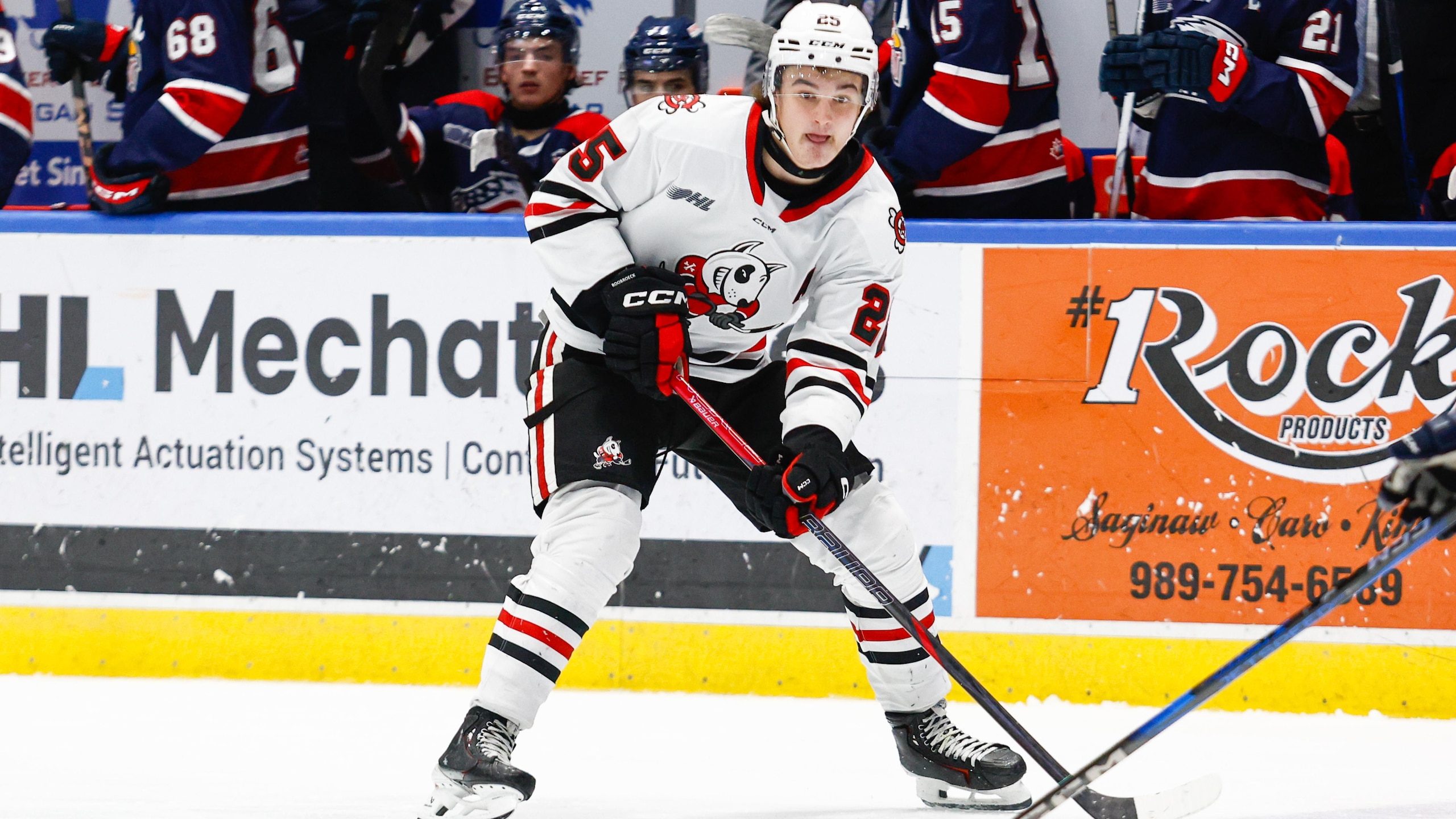 Niagara Ice Dogs v Saginaw Spirit Niagara Ice Dogs v Saginaw Spirit