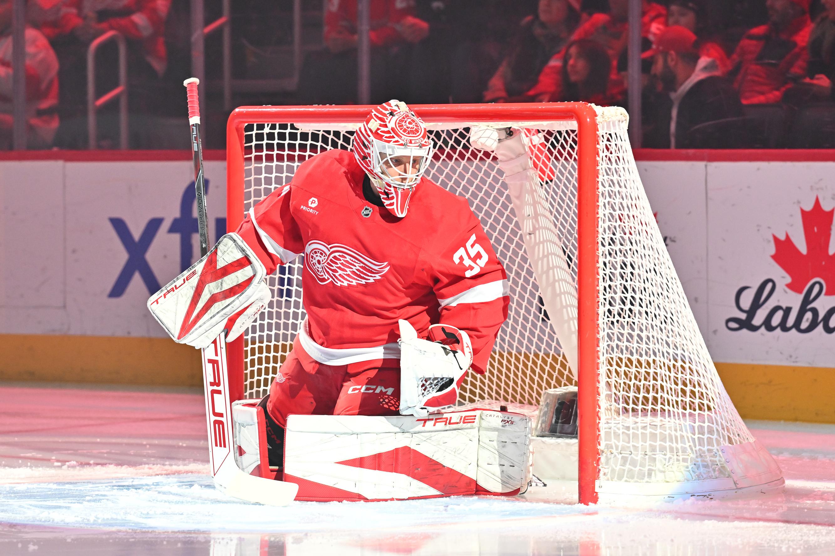 NHL: JAN 14 Sharks at Red Wings